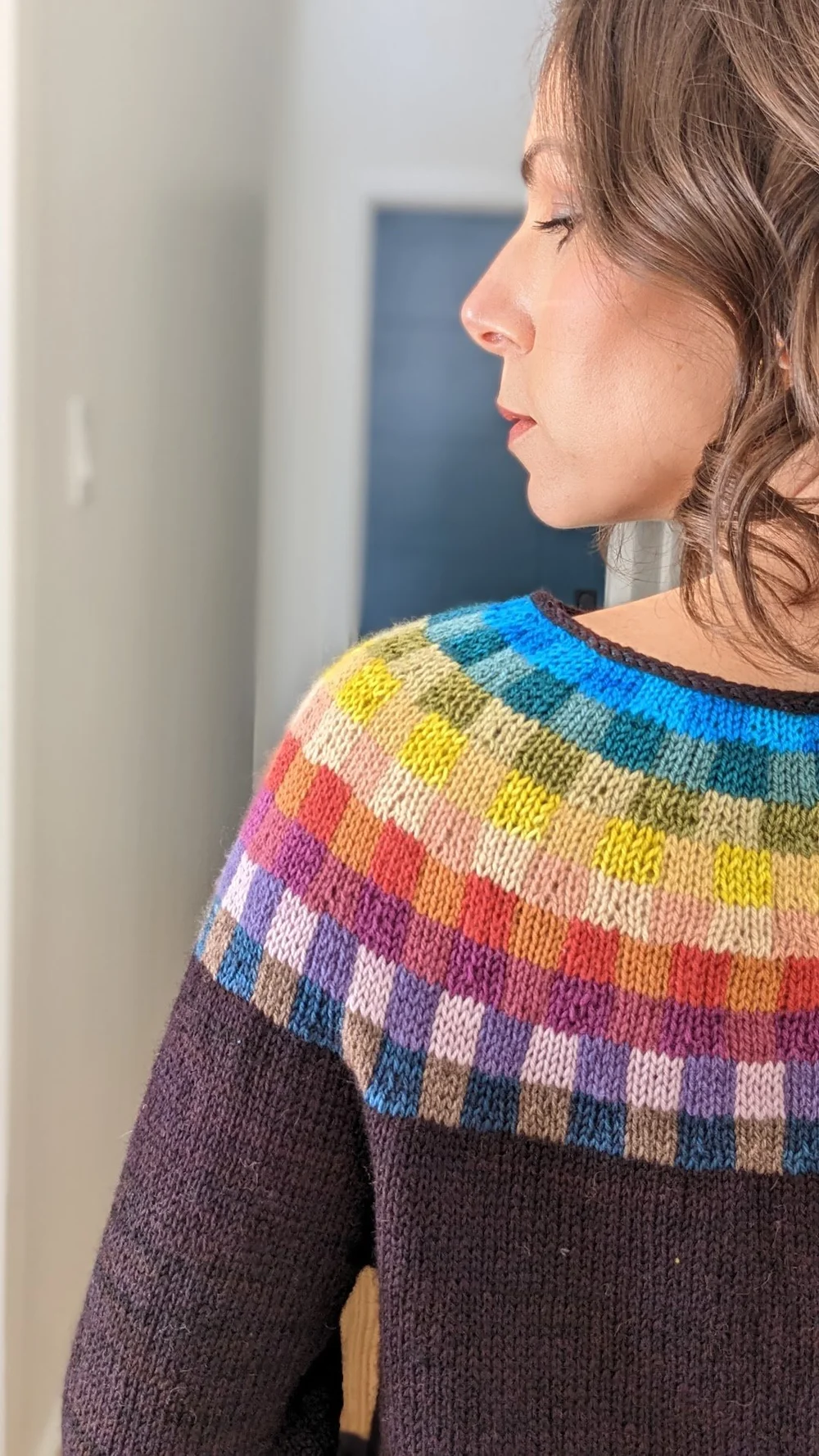 Paul Klee Sweater Kit — Tanis Fiber Arts