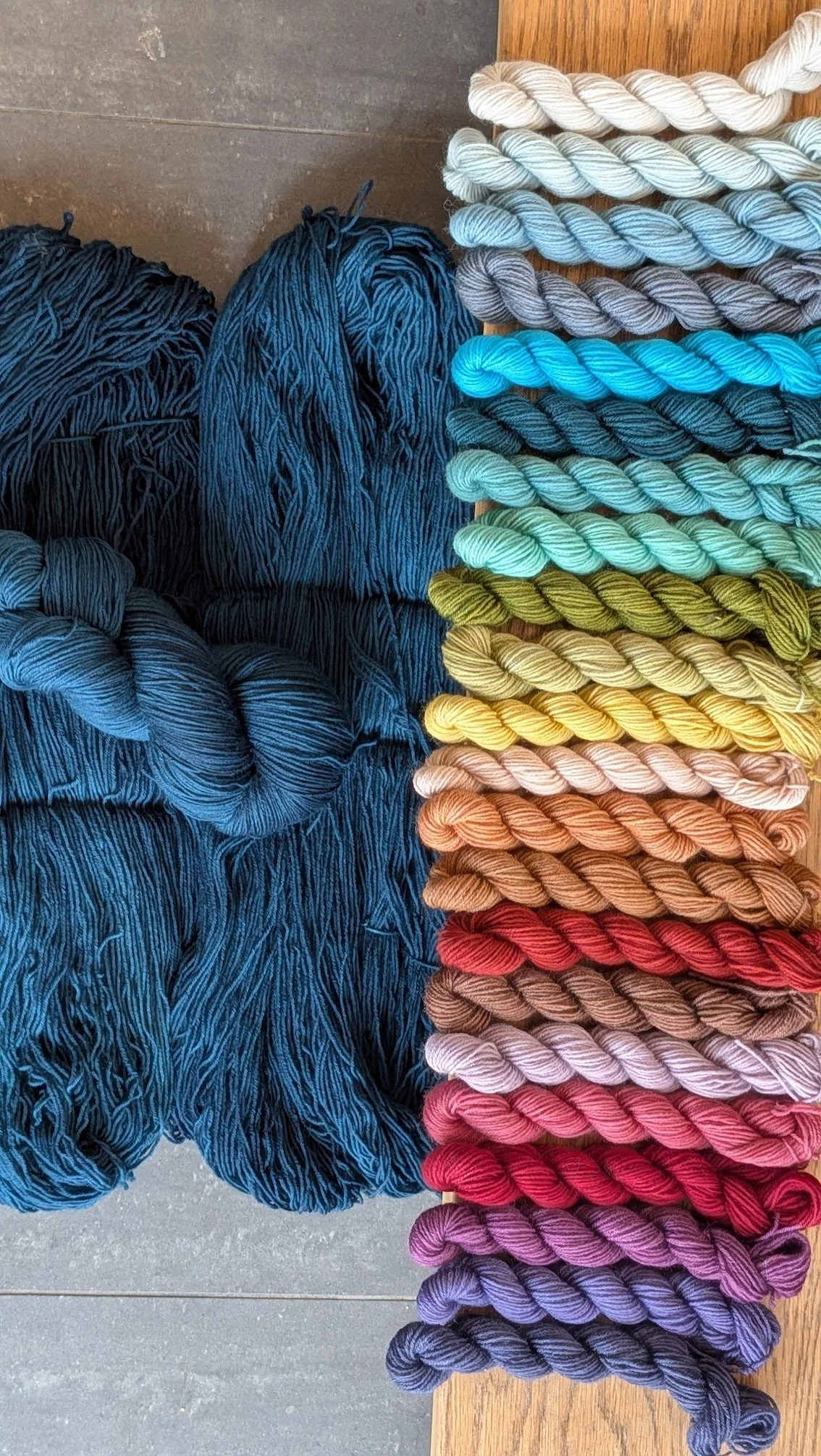 Paul Klee Sweater Kit — Tanis Fiber Arts