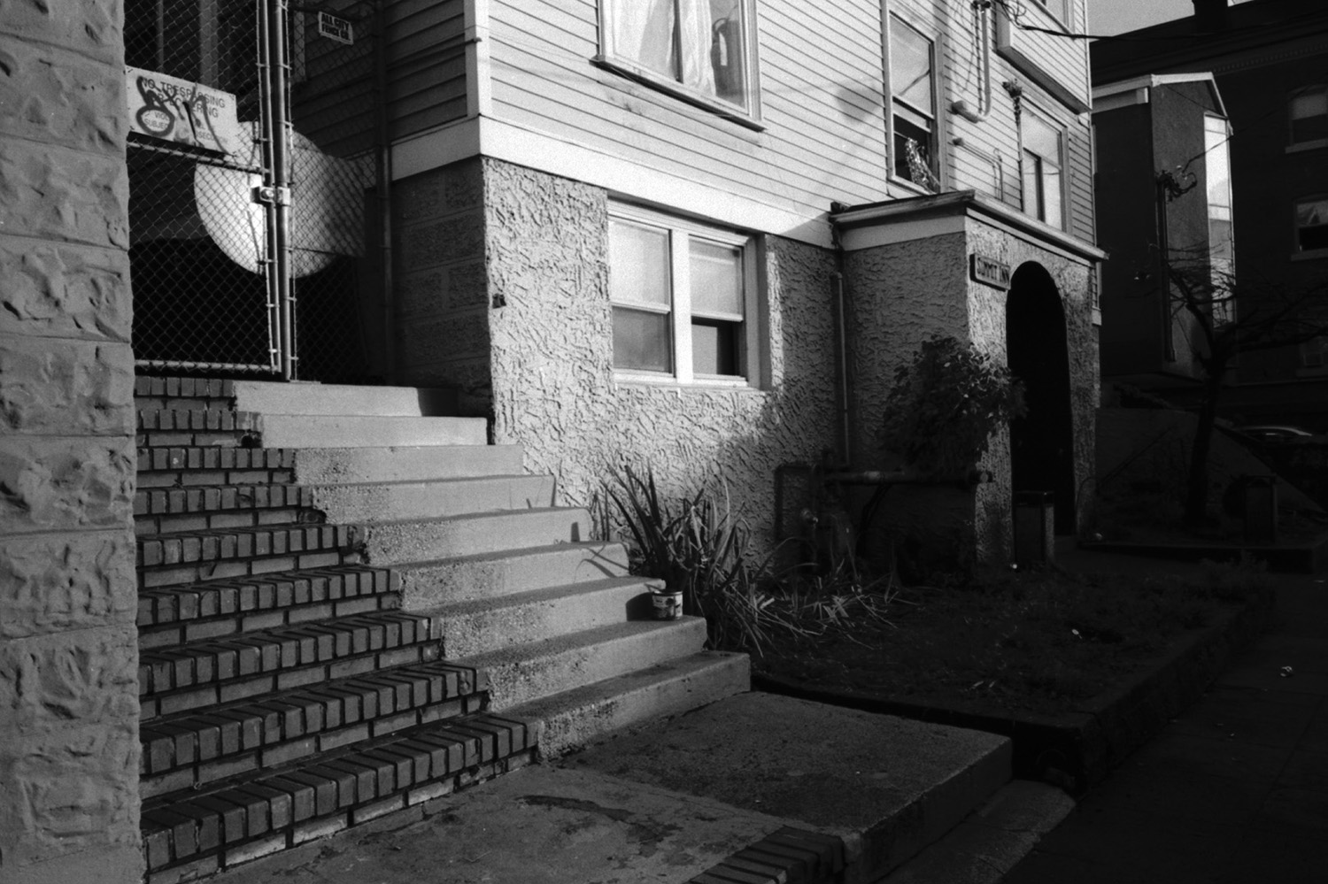 steps.jpg