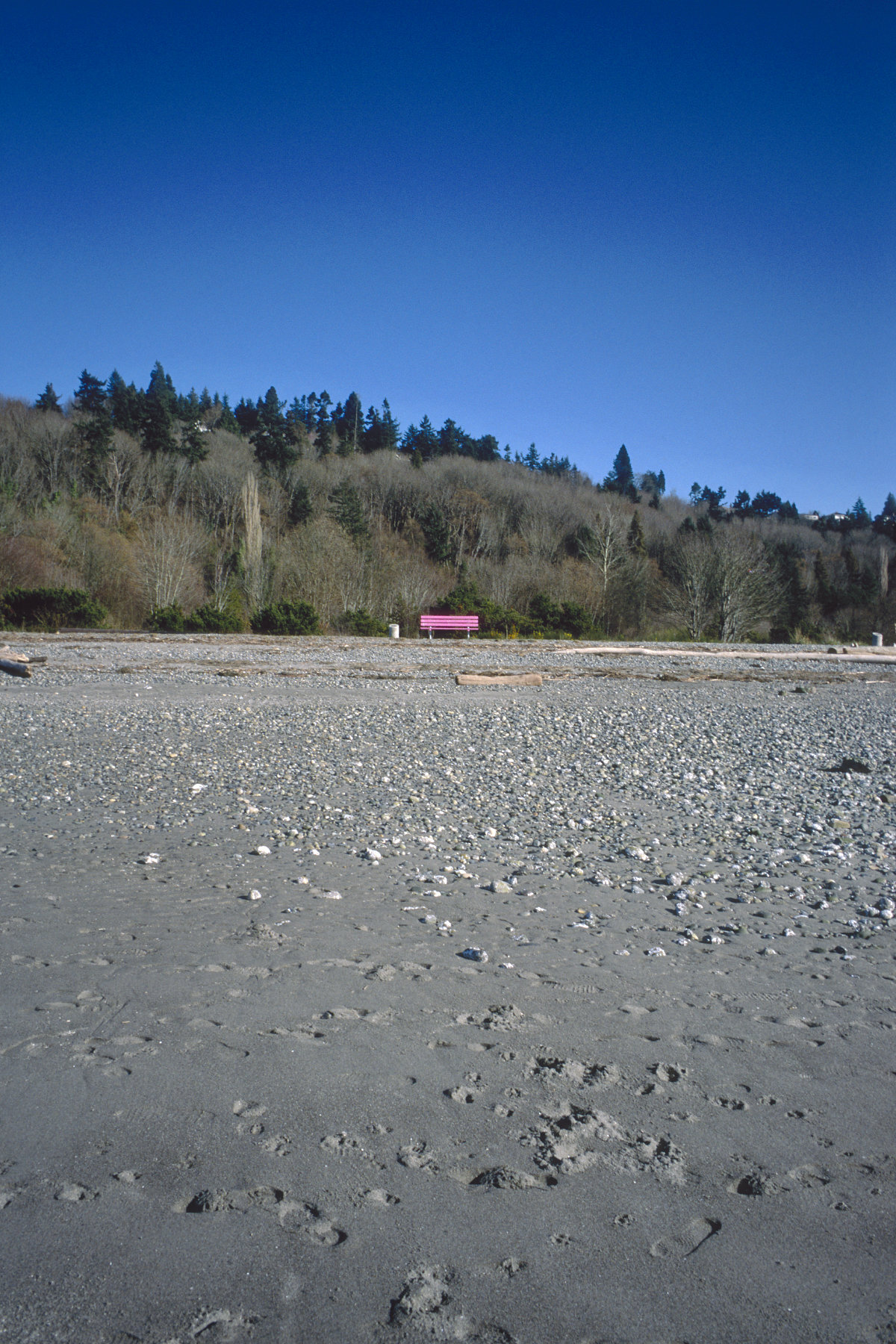 Pink Bench