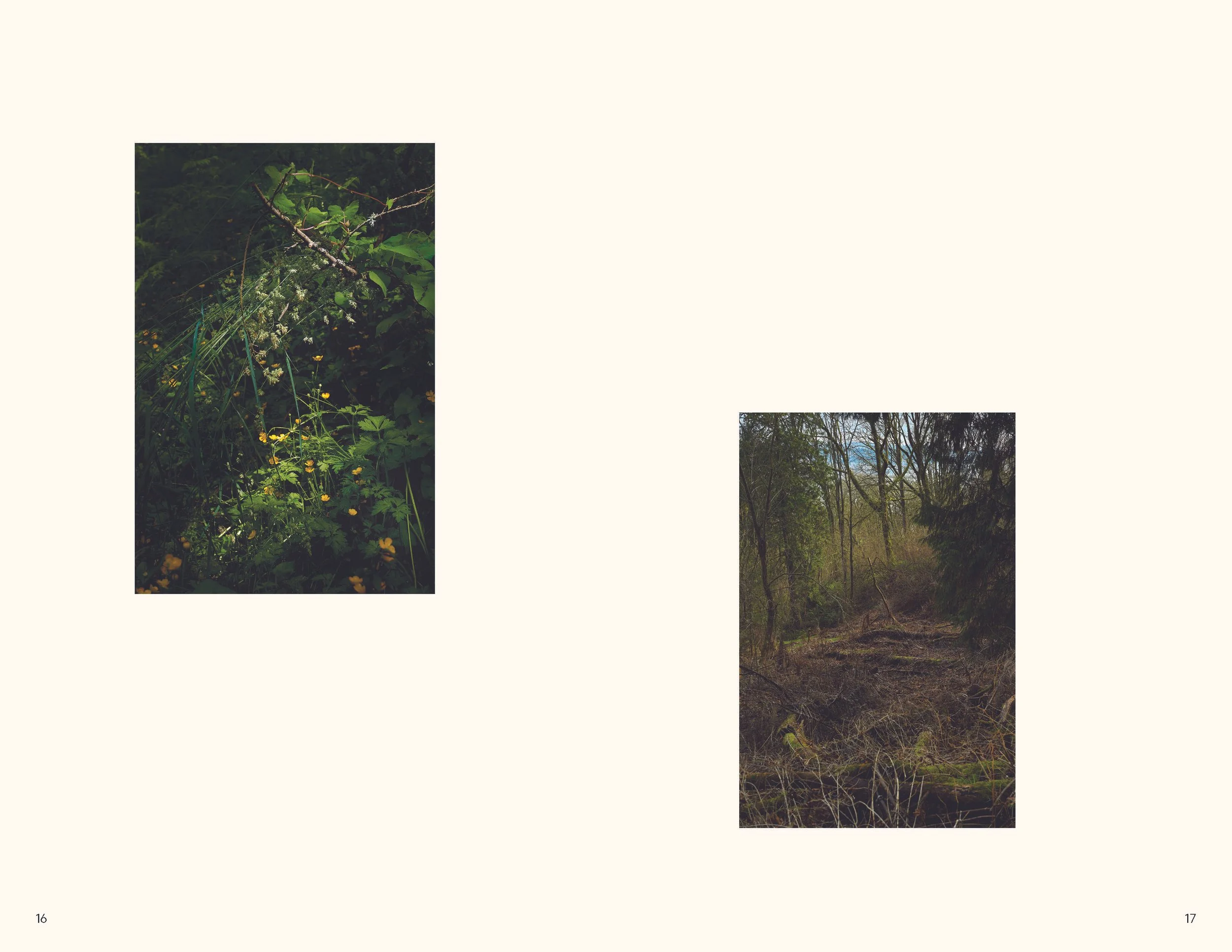 Earthshadow Zine JPEG_Page_10.jpg