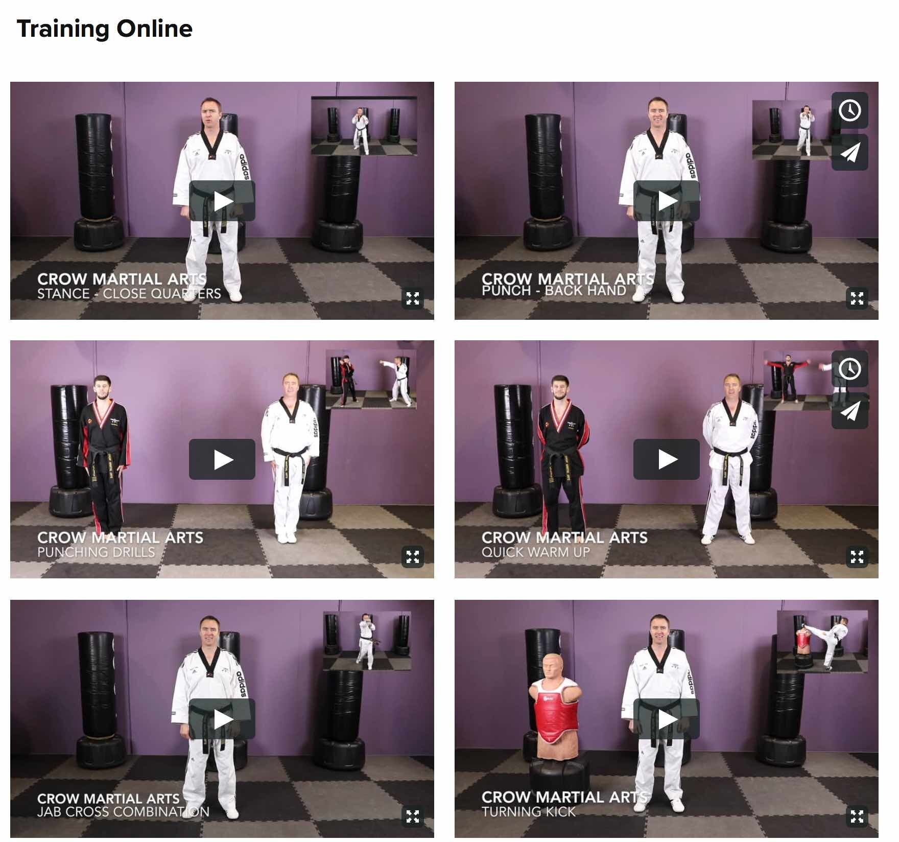 Crow Martial Art Technical Training Videos.jpg