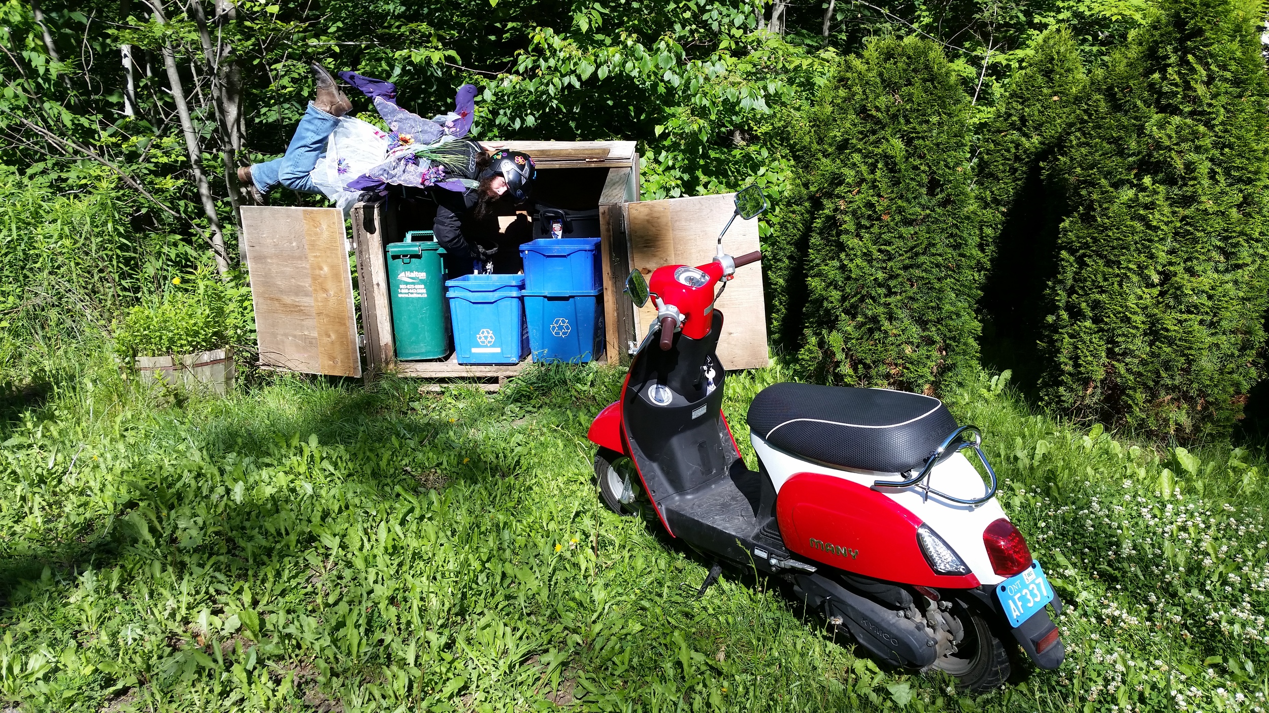 butterfly-fairy-garbage-picking.jpg