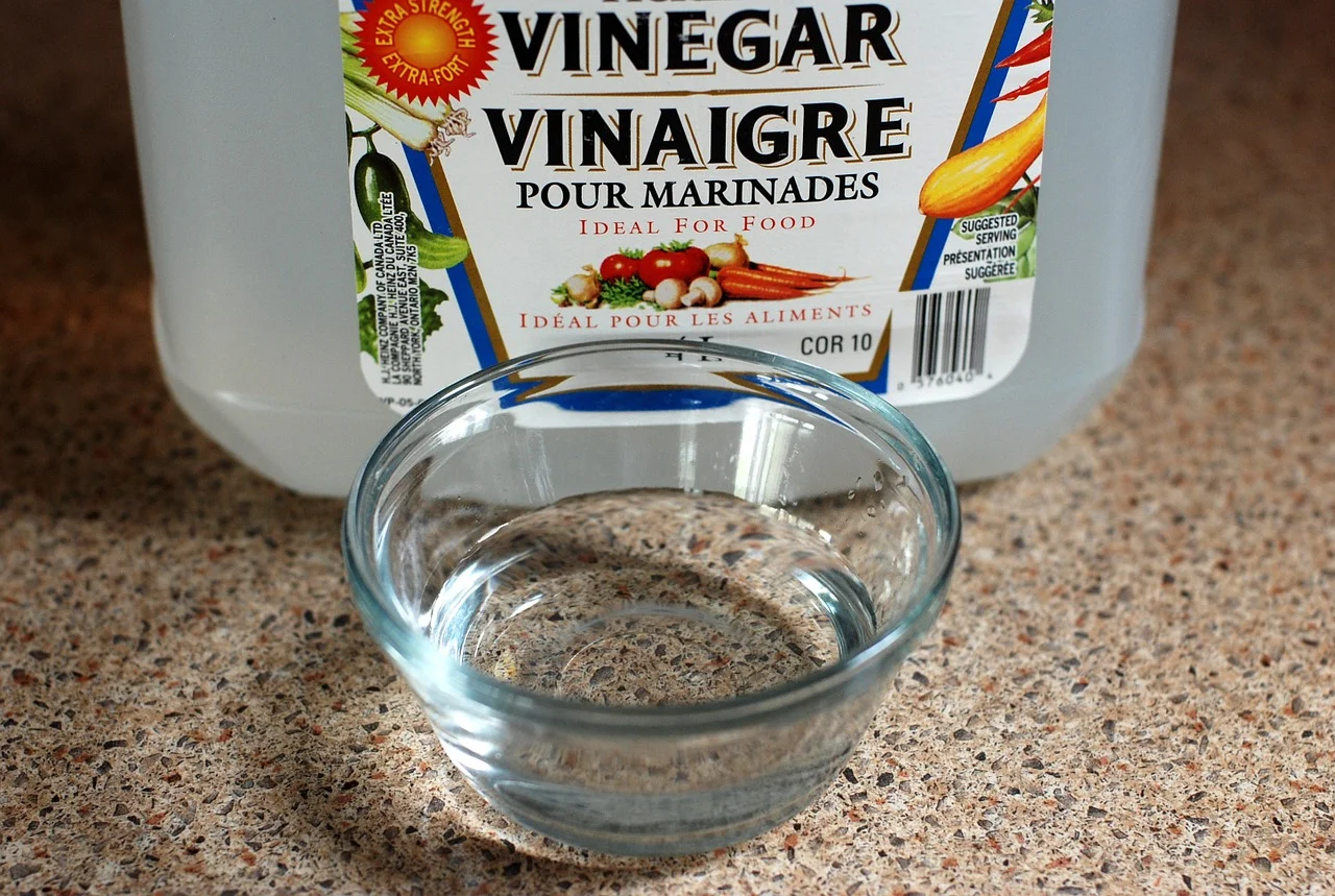 plain white vinegar is all you need to clean your coffee machine