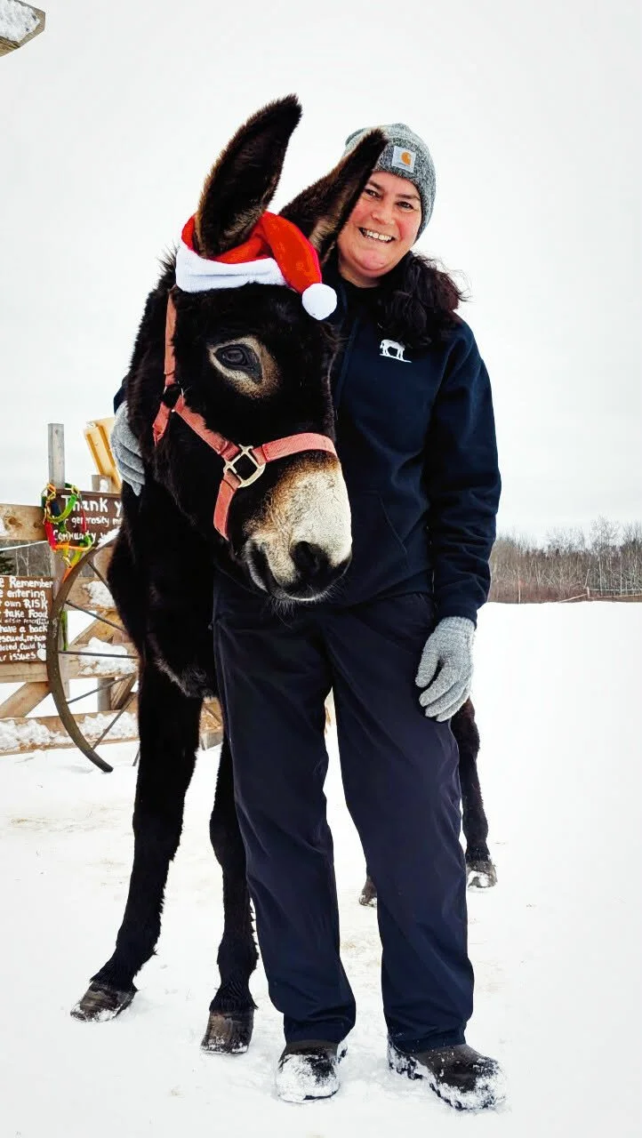 donkey-farm-pic-6.jpg
