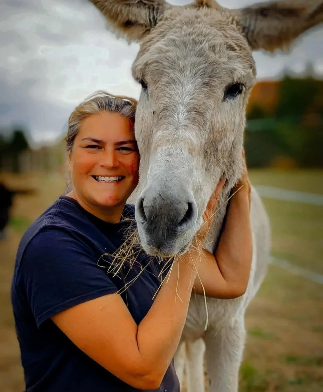 donkey-farm-pic-7.jpg