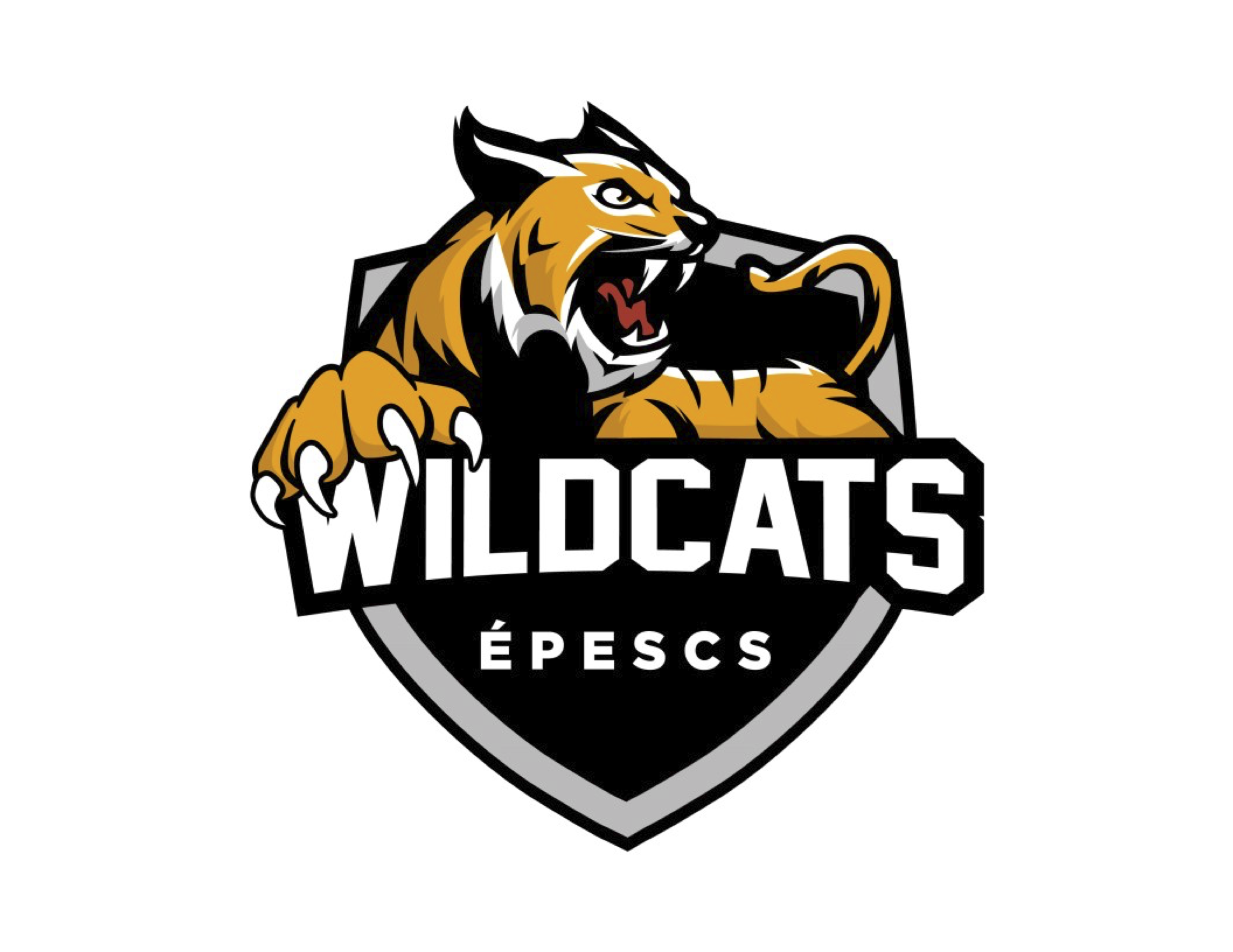 Port Elgin Saugeen Wildcats