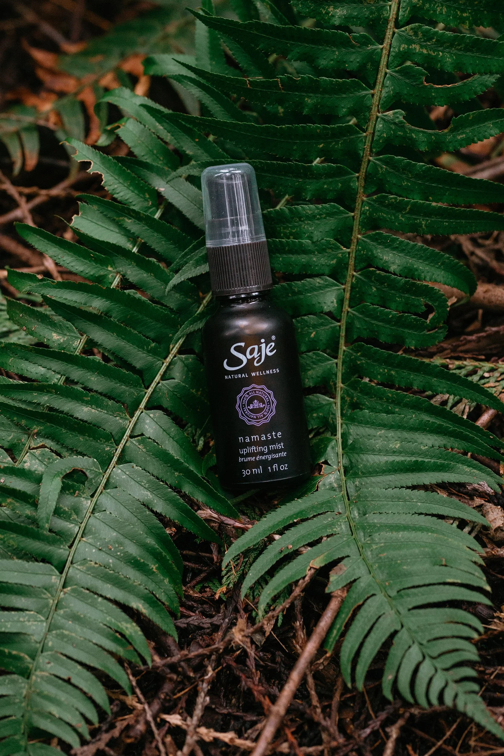 saje-spray-ferns.jpg