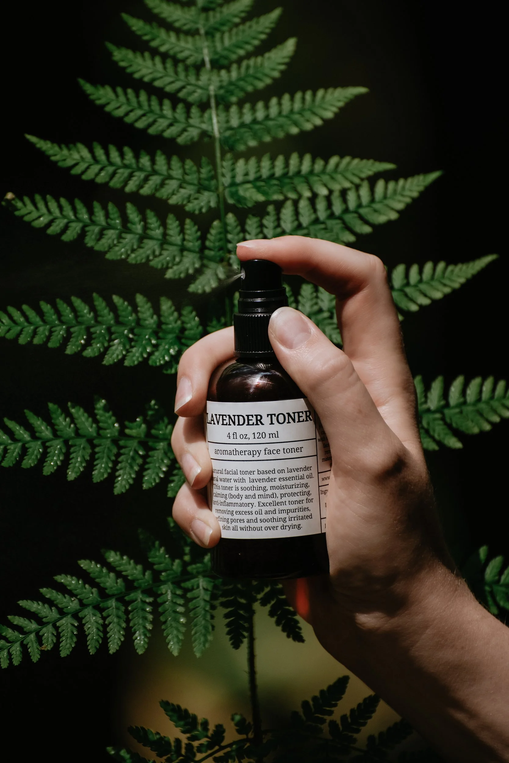 lavender-spray-infront-of-ferns.jpg