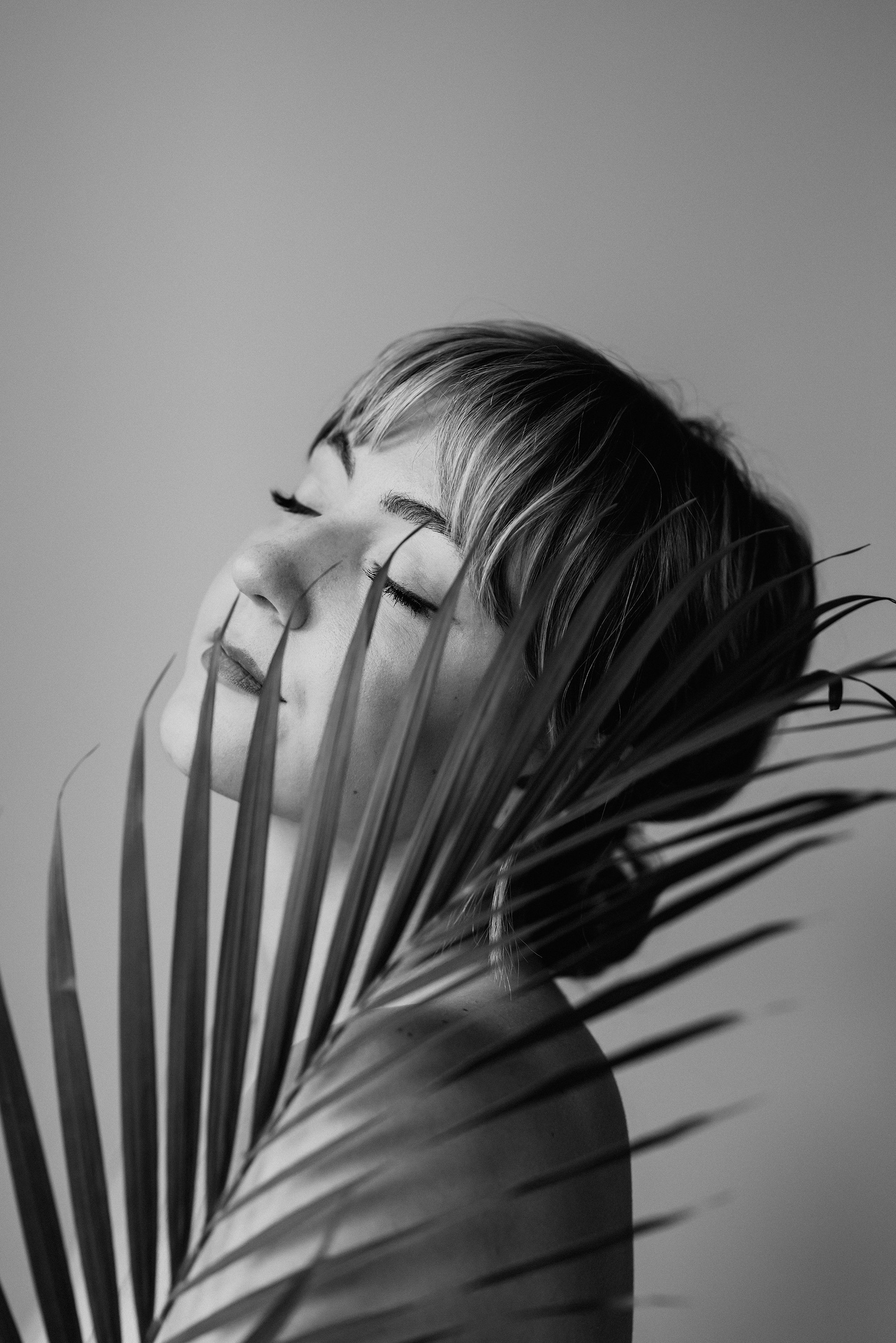 palmfrondportrait.jpg