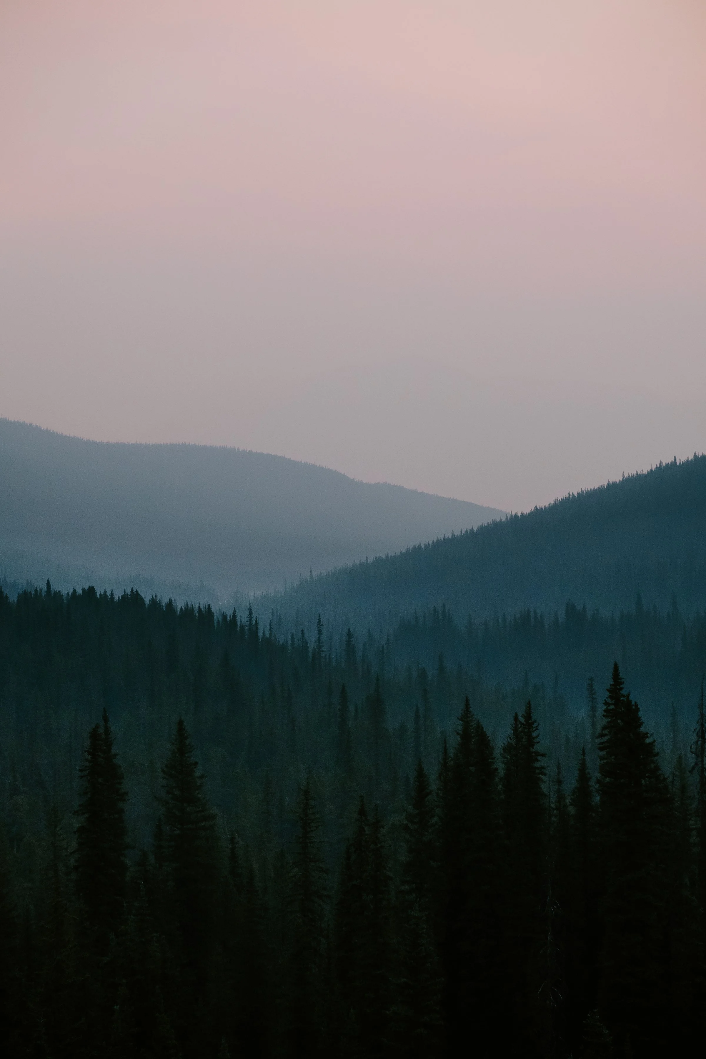 forestlayers1.jpg