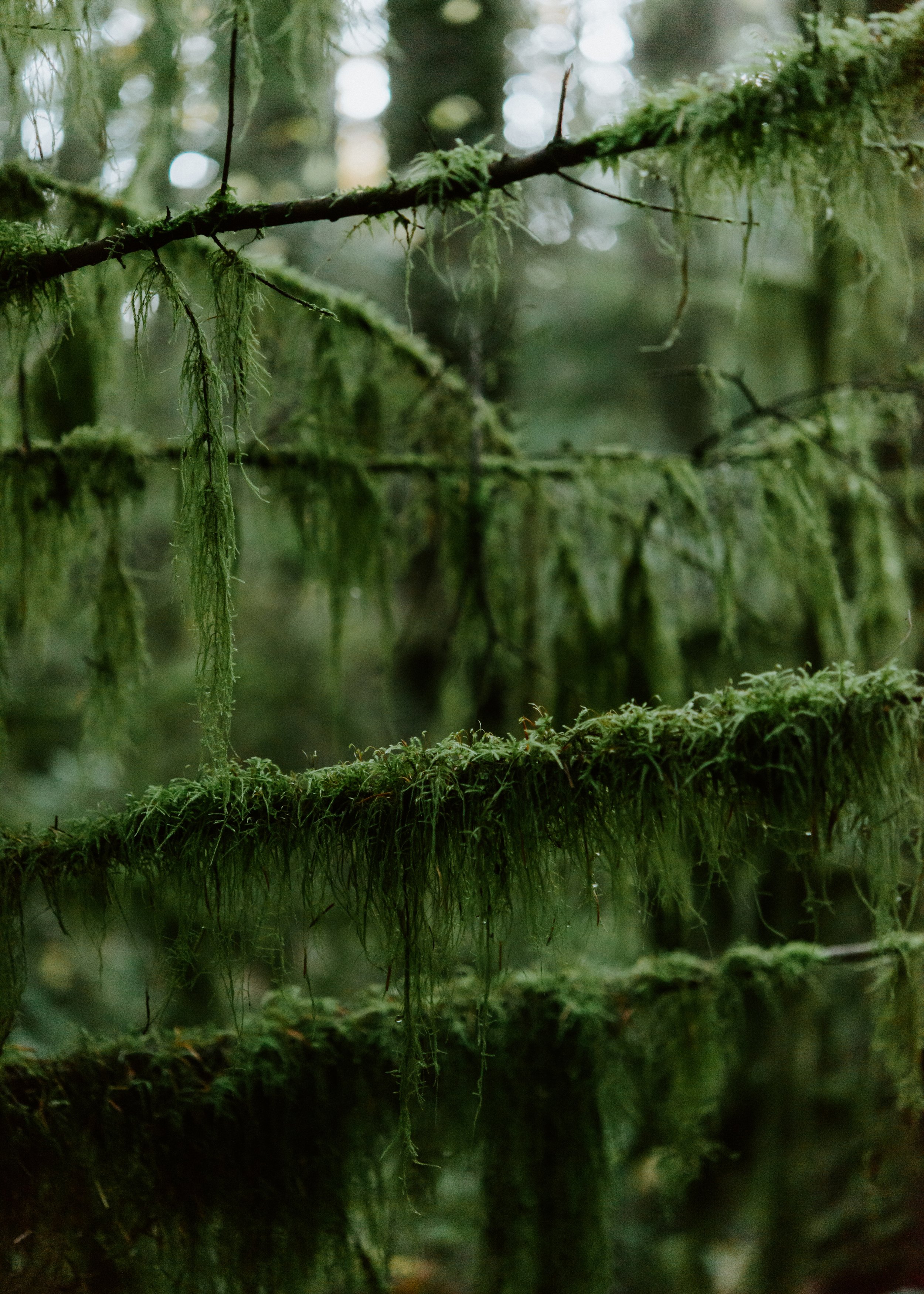 _DSC3024.jpg
