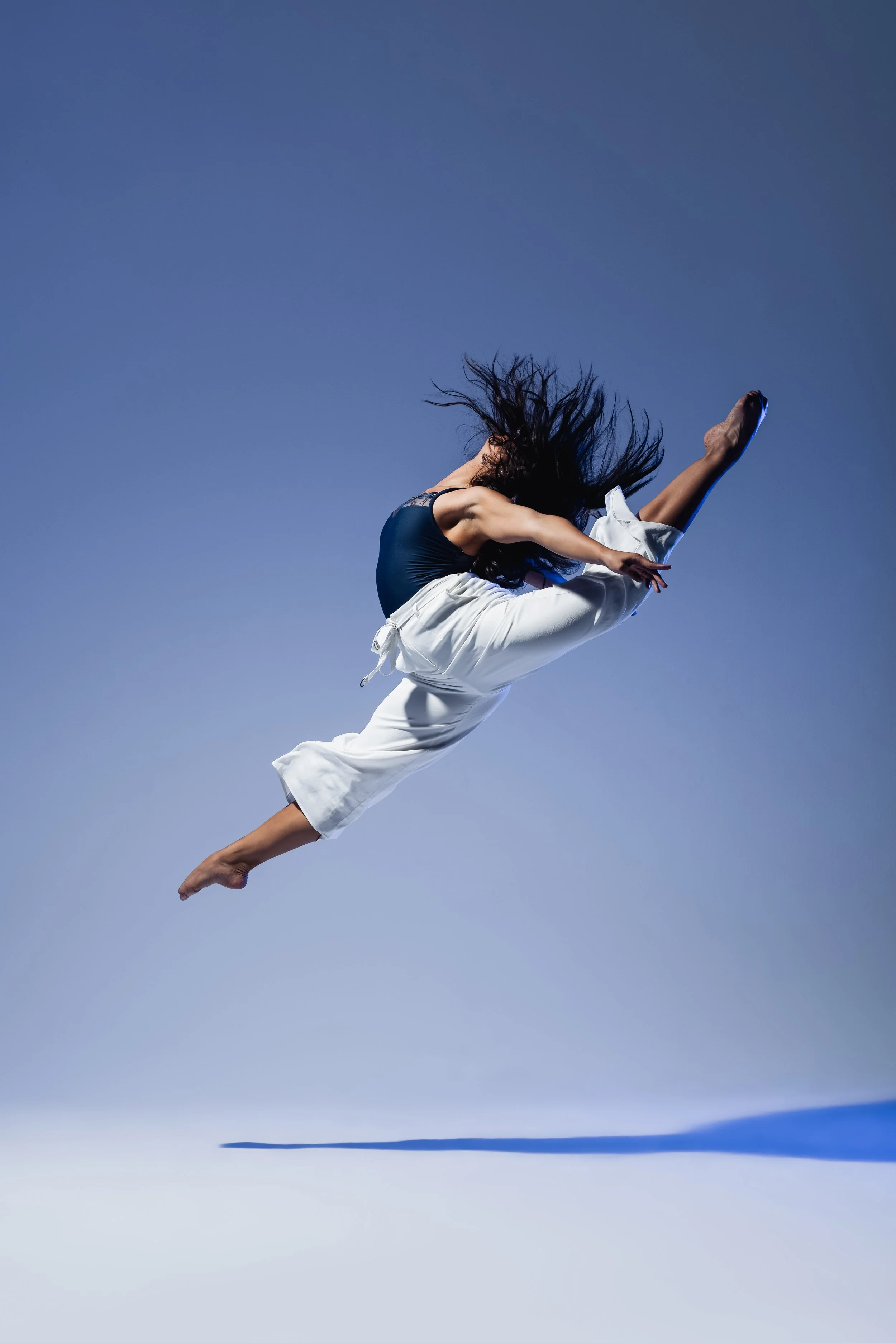 blue-backdrop-firebird.jpg