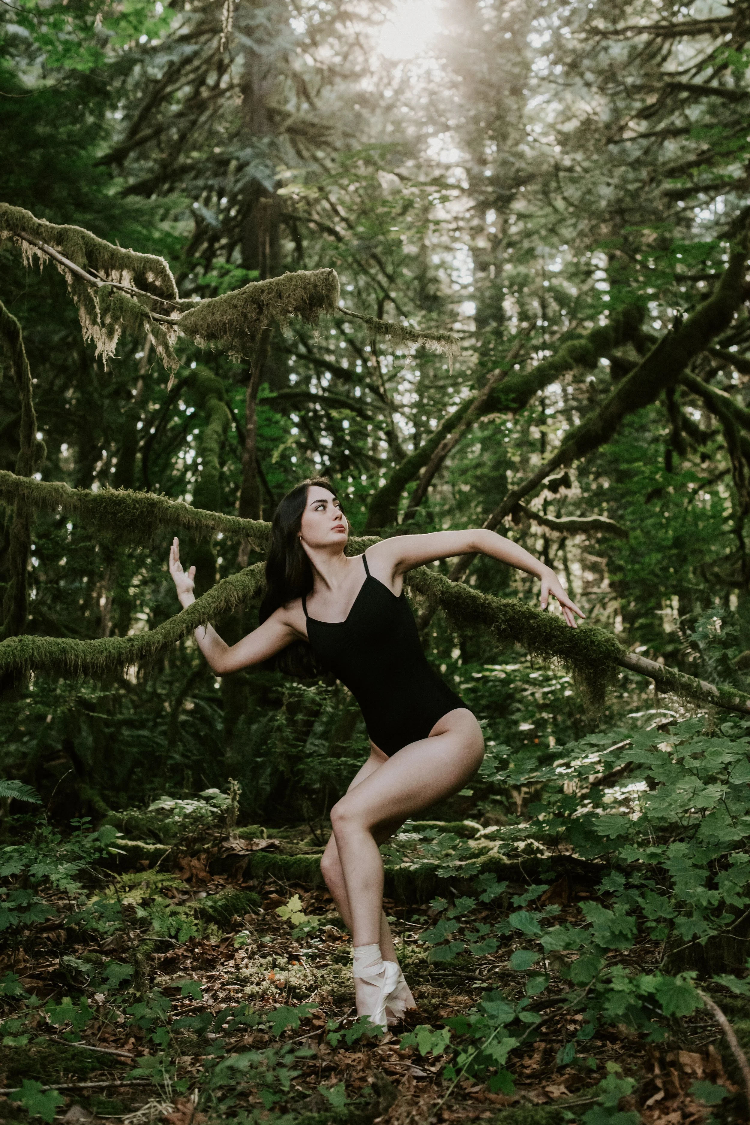 ballerina-surrounded-by-forest.jpg