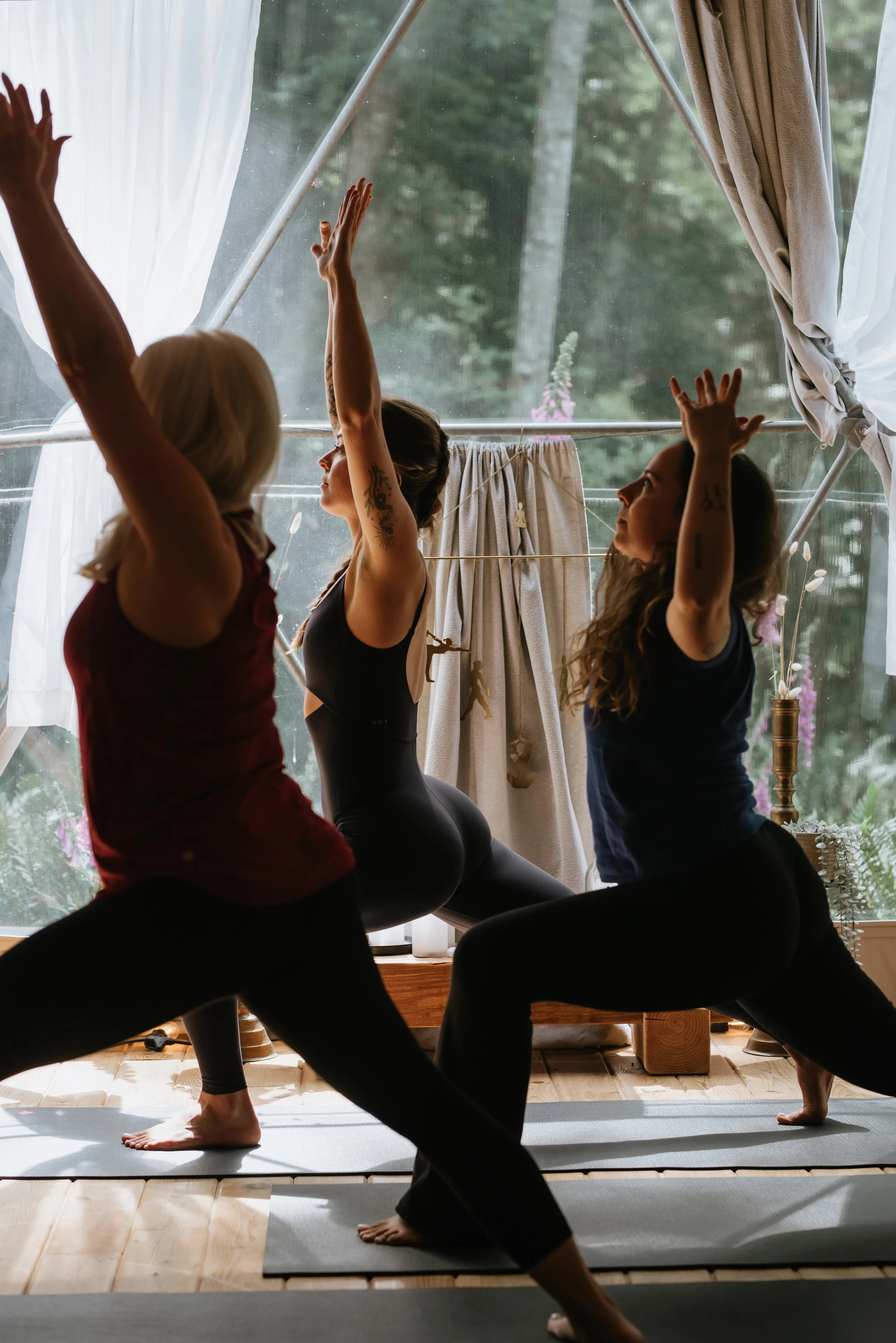 yoga-cactus-arms.jpg