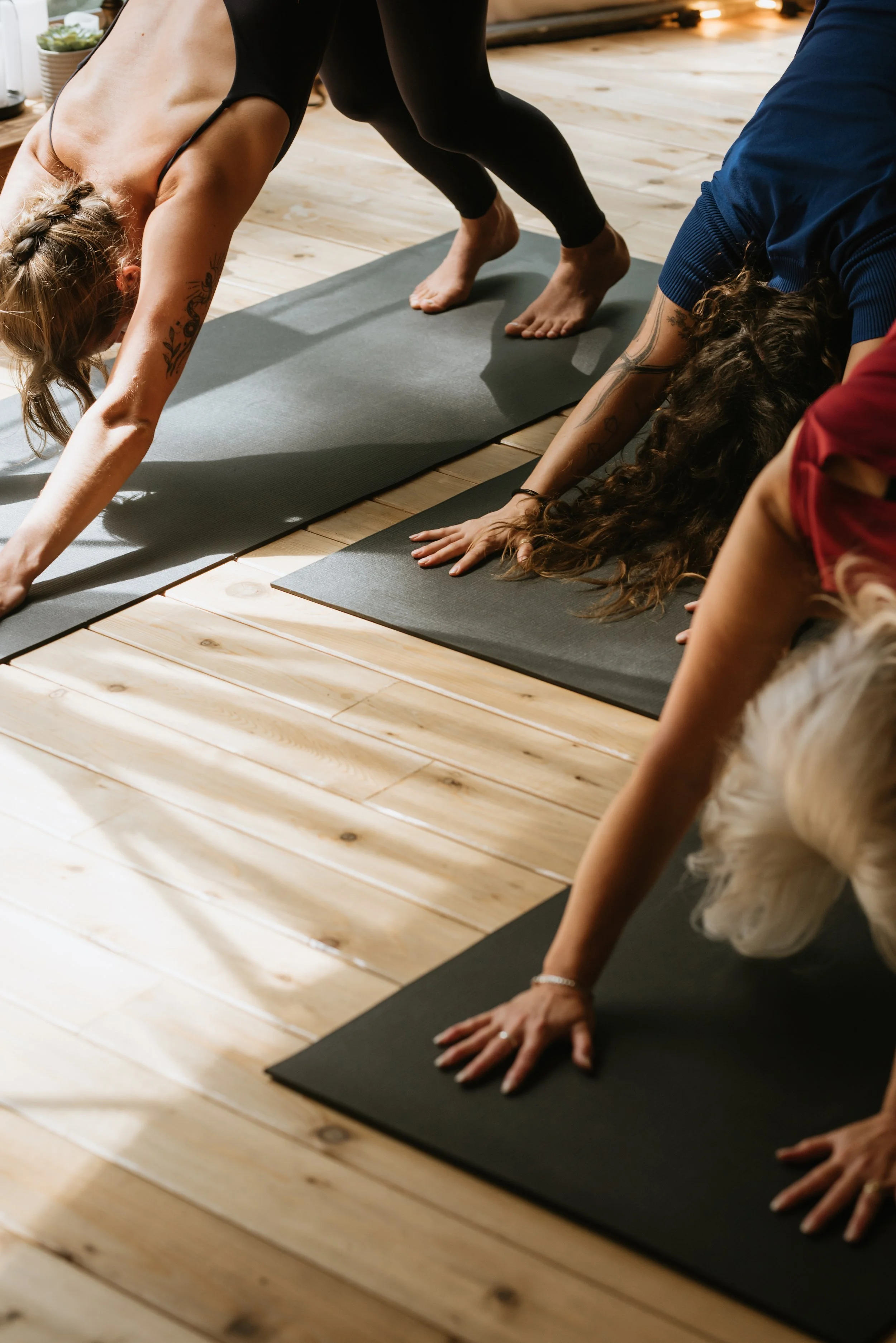 downward-facing-dog-closeup-photo.jpg