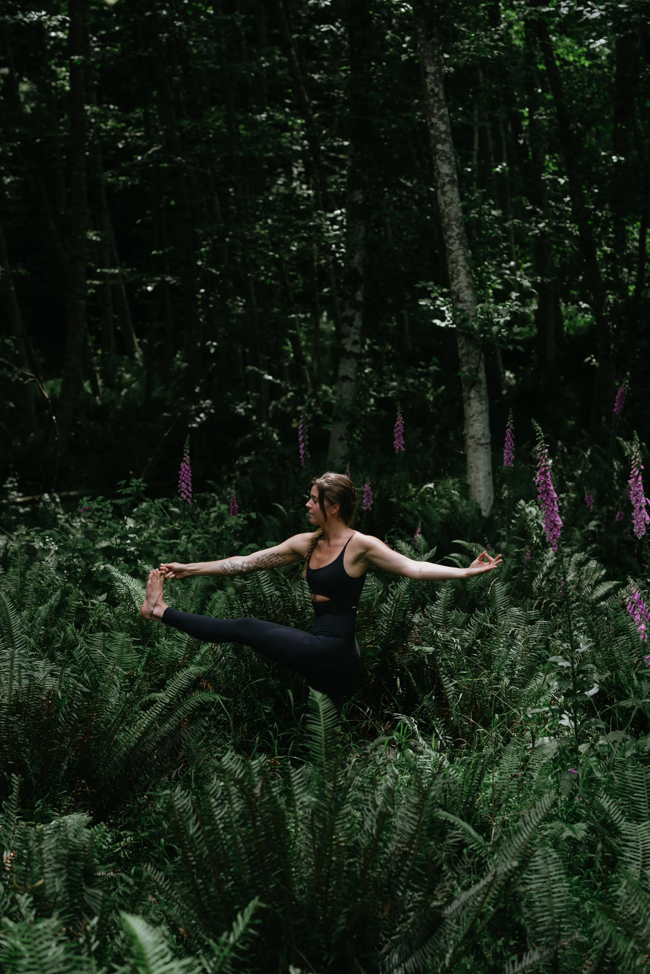 yoga-in-the-ferns.jpg