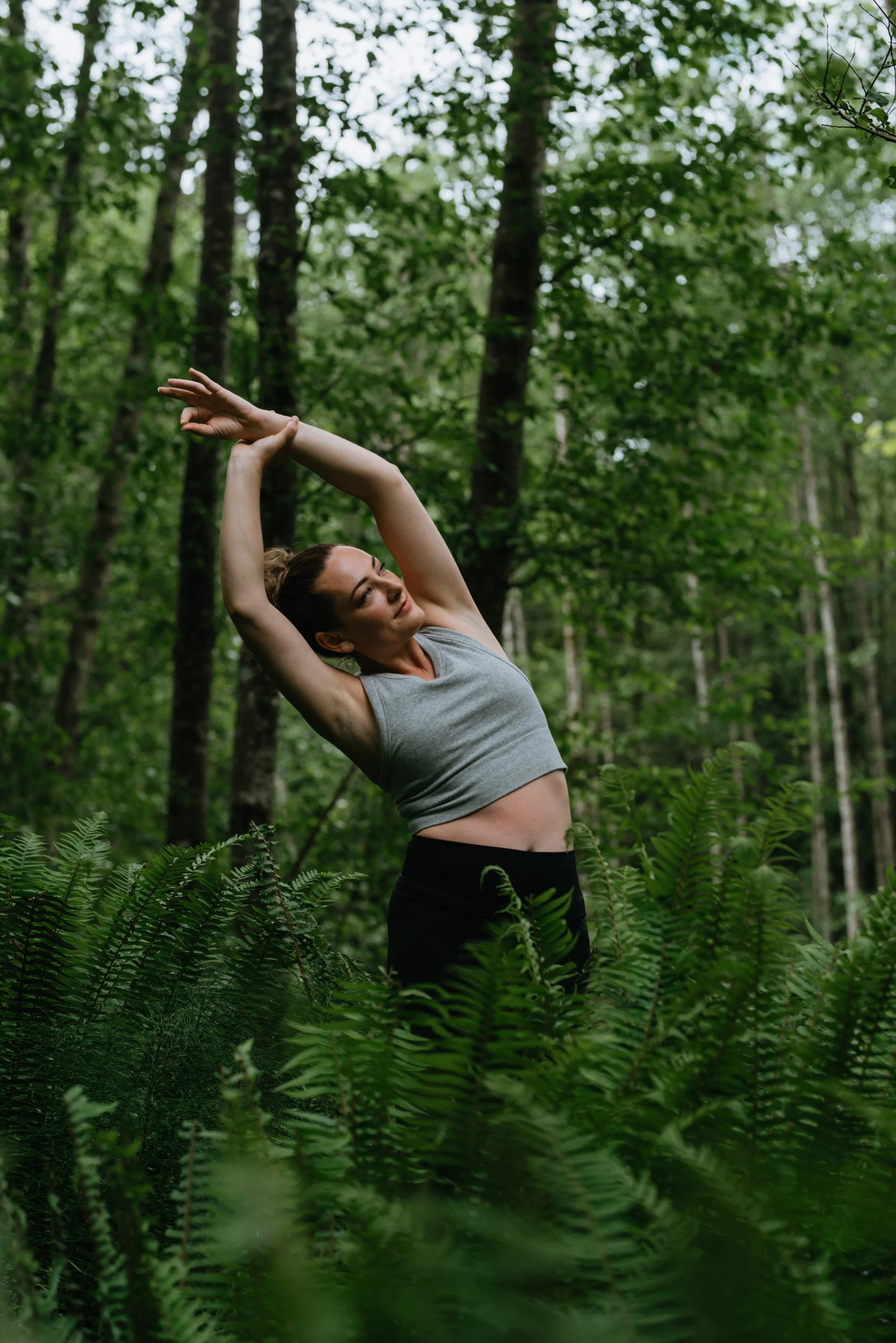 yogi-in-ferns.jpg