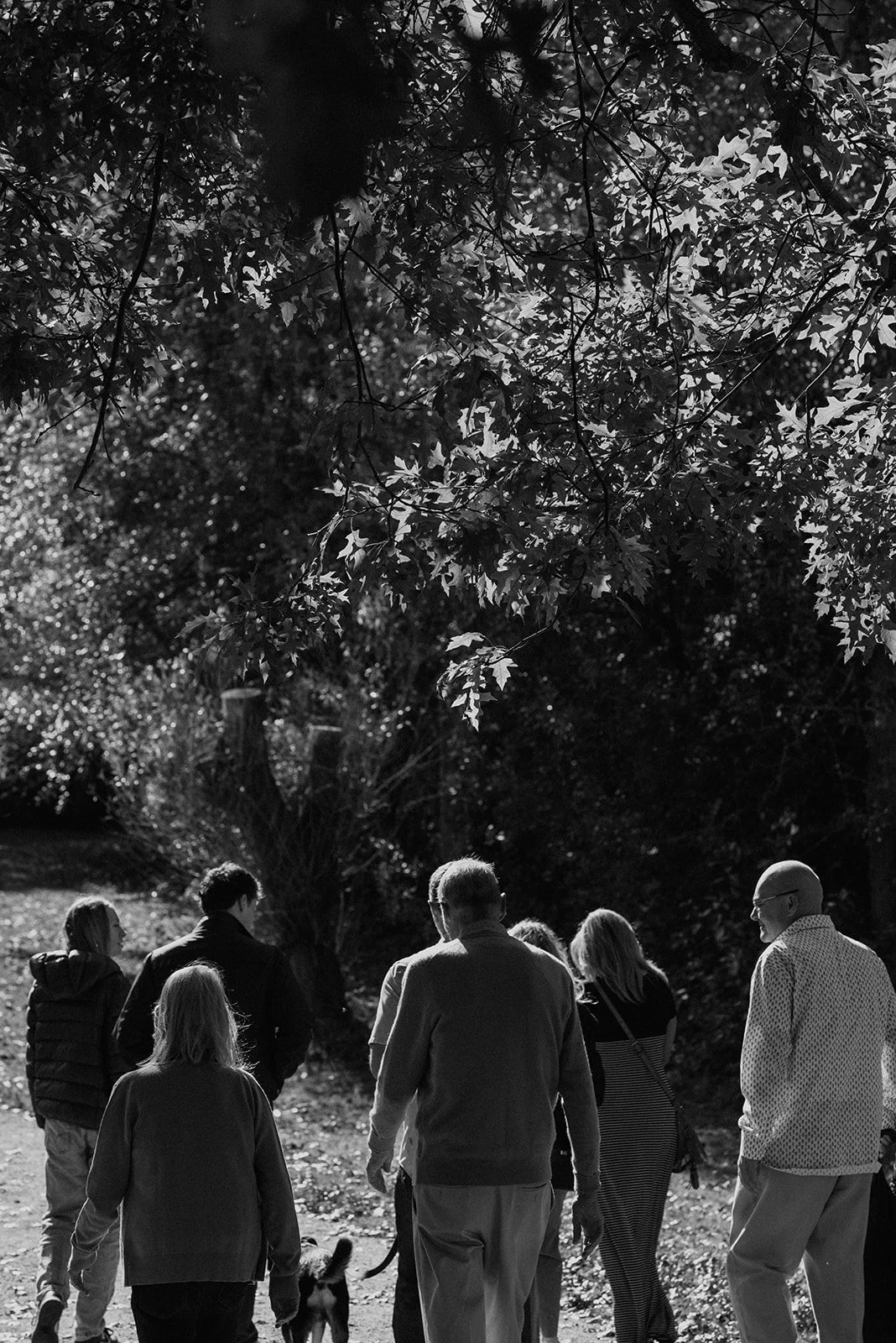 family-walking.jpg