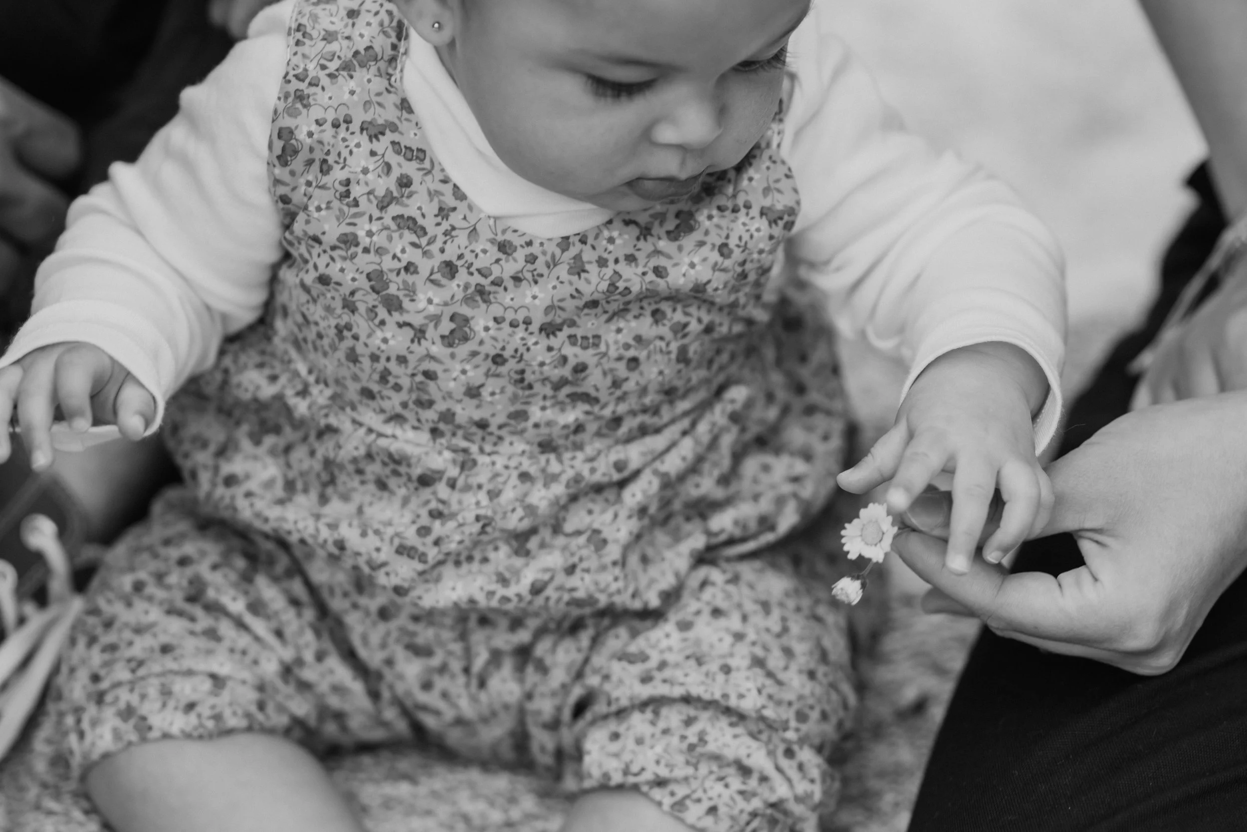 baby-holding-flower.jpg