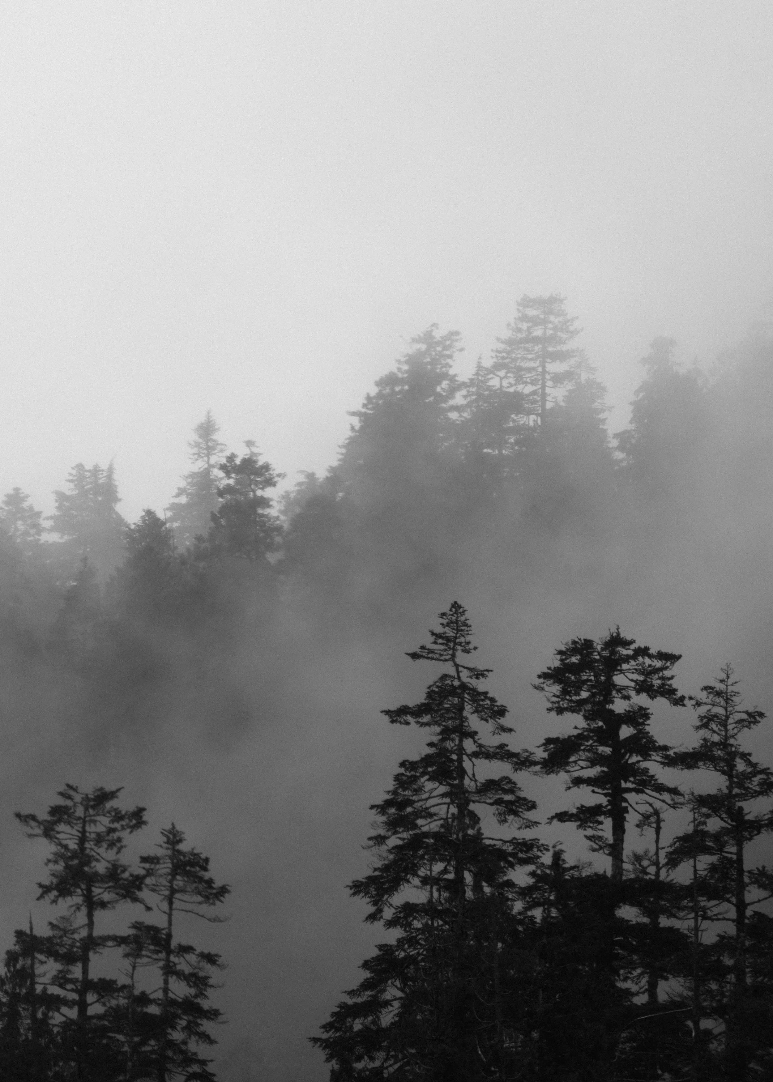 mountain-mist-layers.jpg
