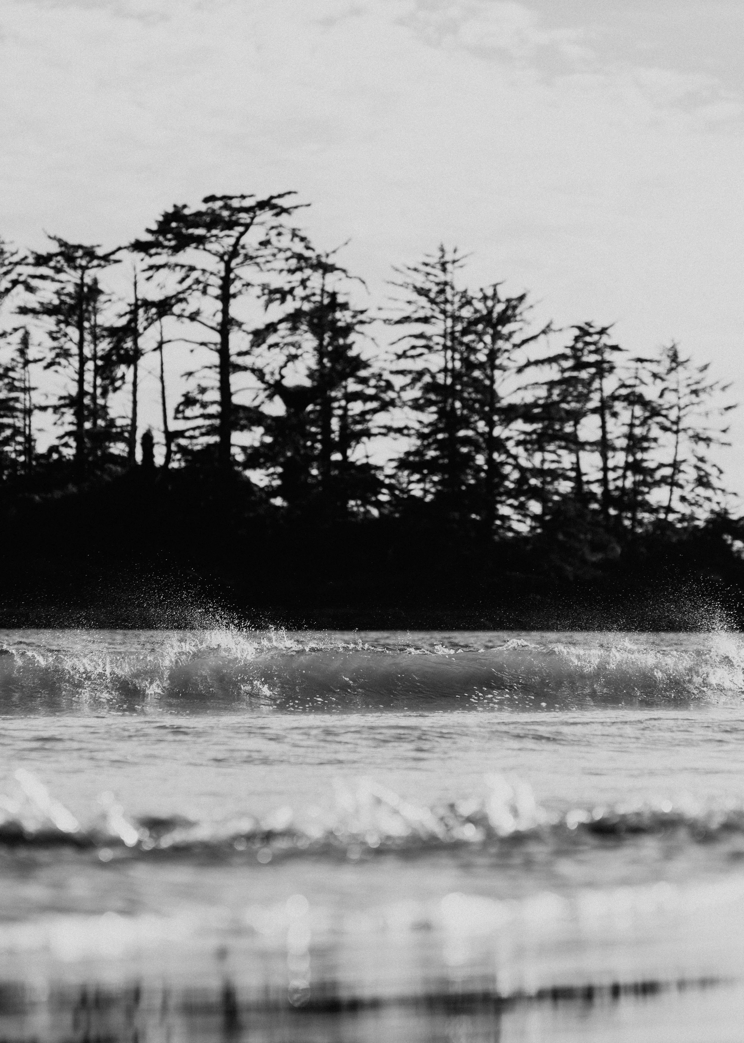 tofino-ocean-treeline.jpg