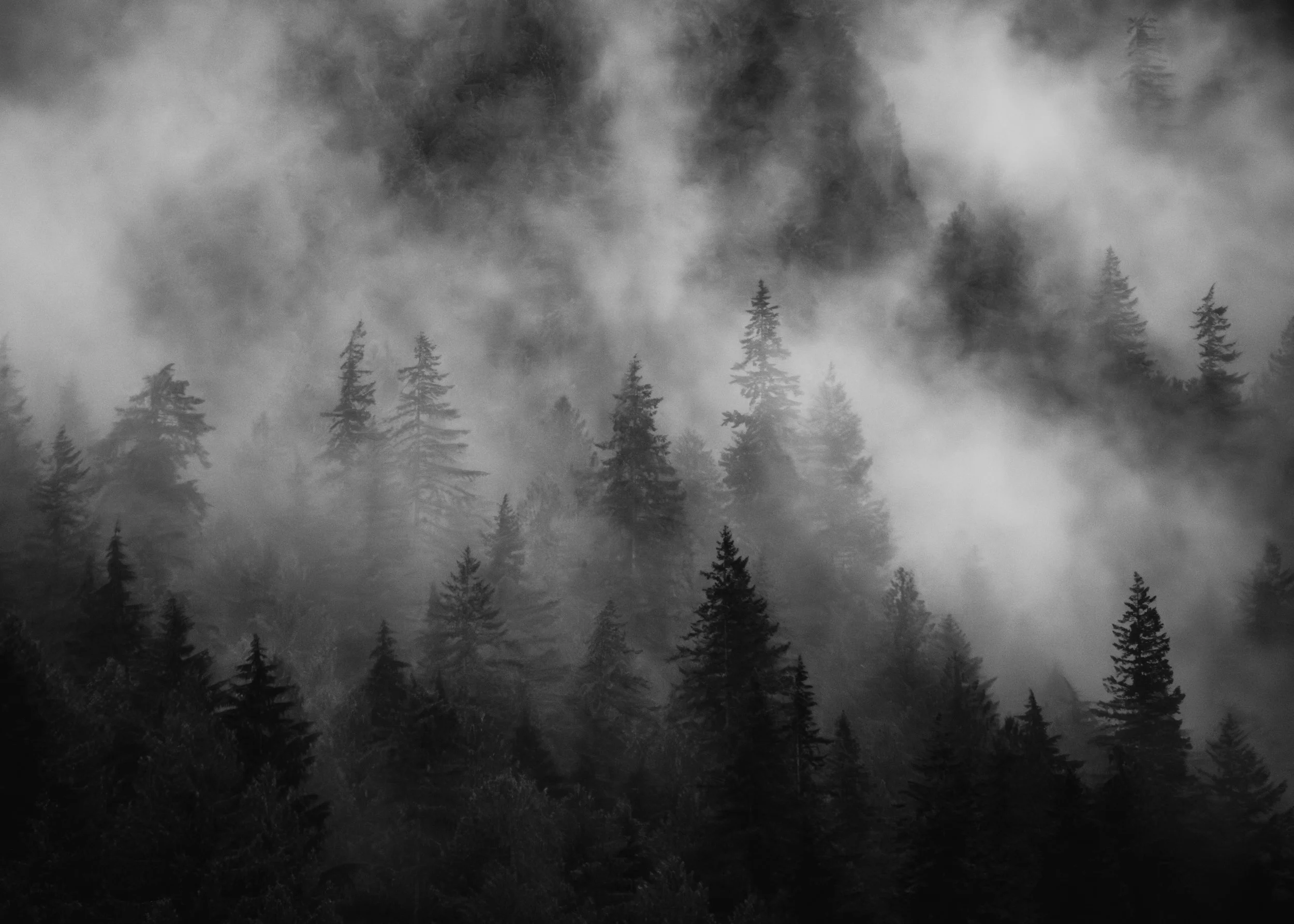 DSC_2604-Edit copy.jpg