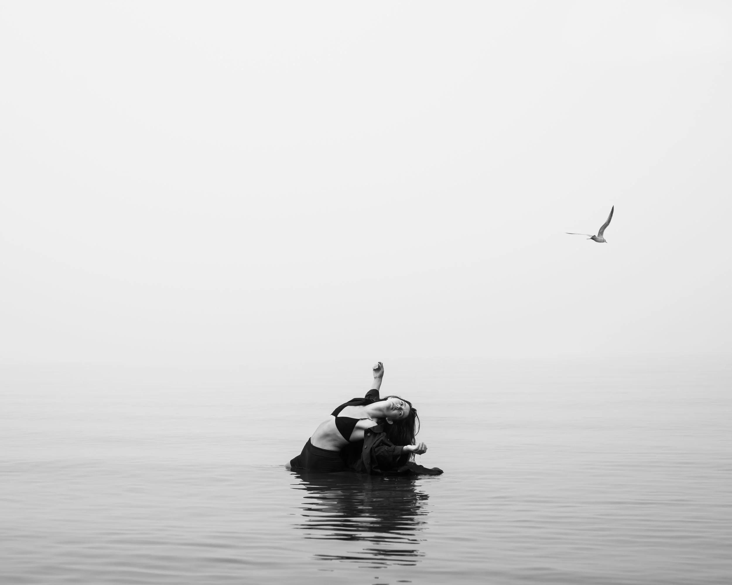 dancer-in-water-misty-seagull.jpg