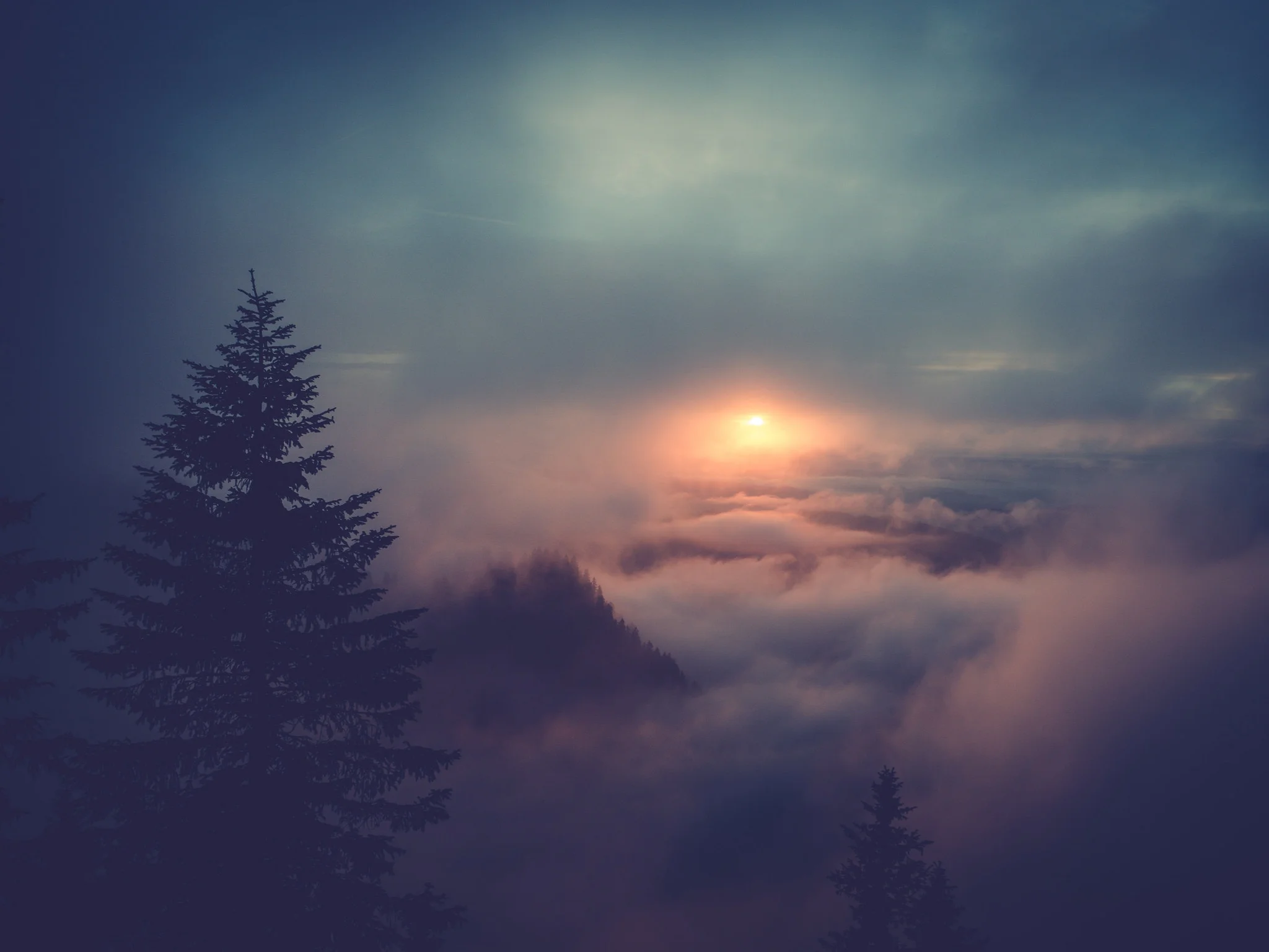 Photo by Roland Epple on Unsplash