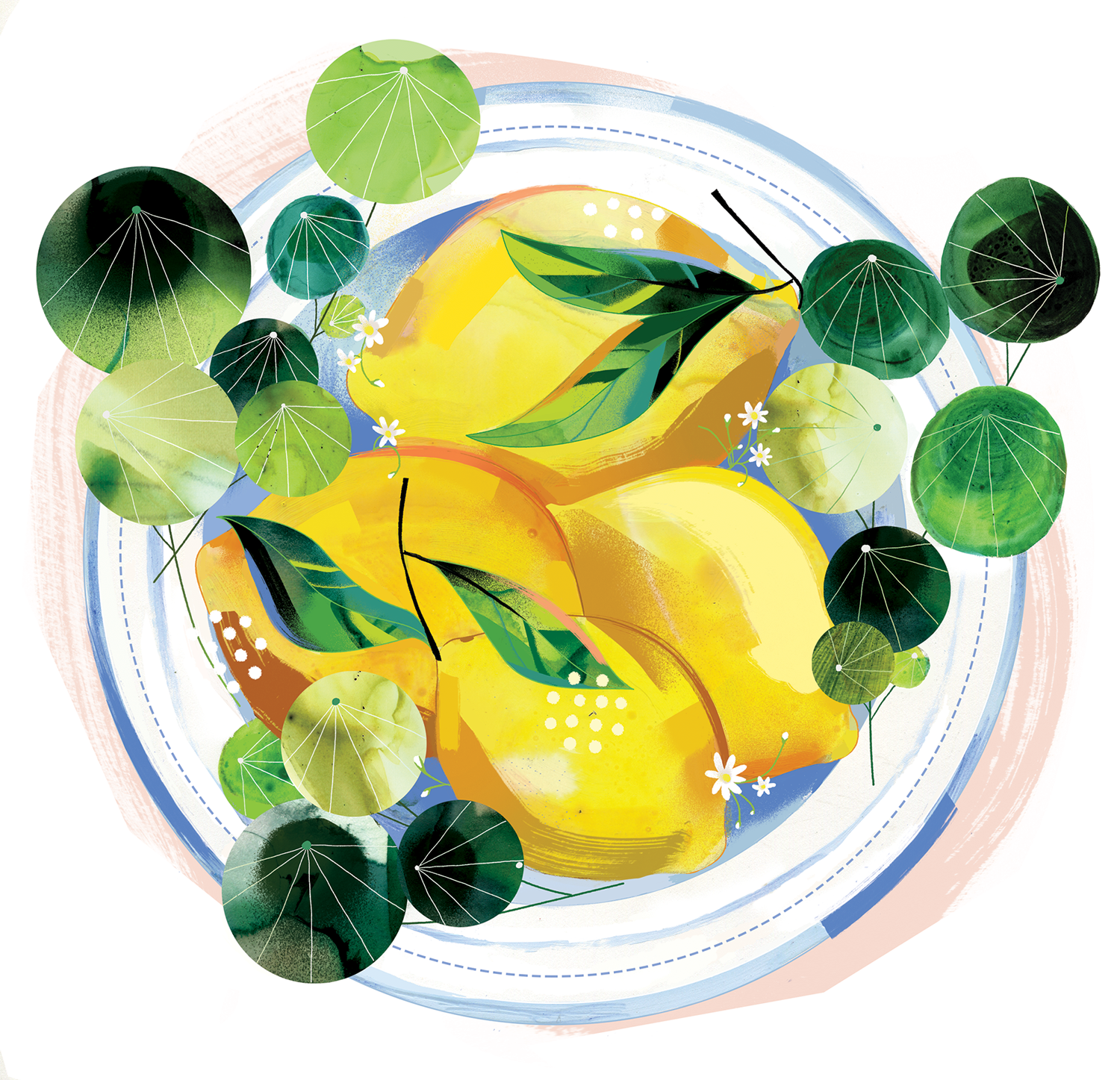 3MelonColly_LemonsFinal.png