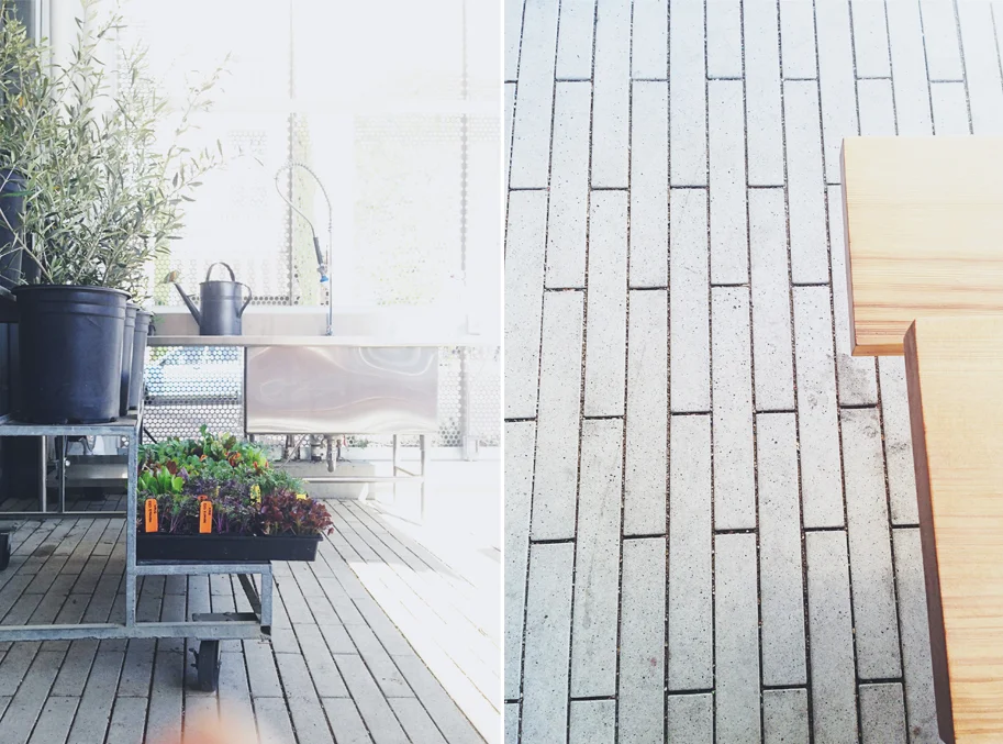 Favorites_Shed_18A.jpg