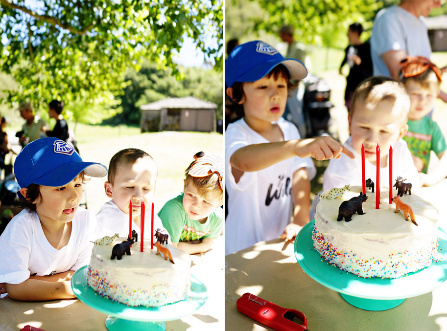 Luca Birthday Party Ideas  Boy birthday parties, Boy birthday