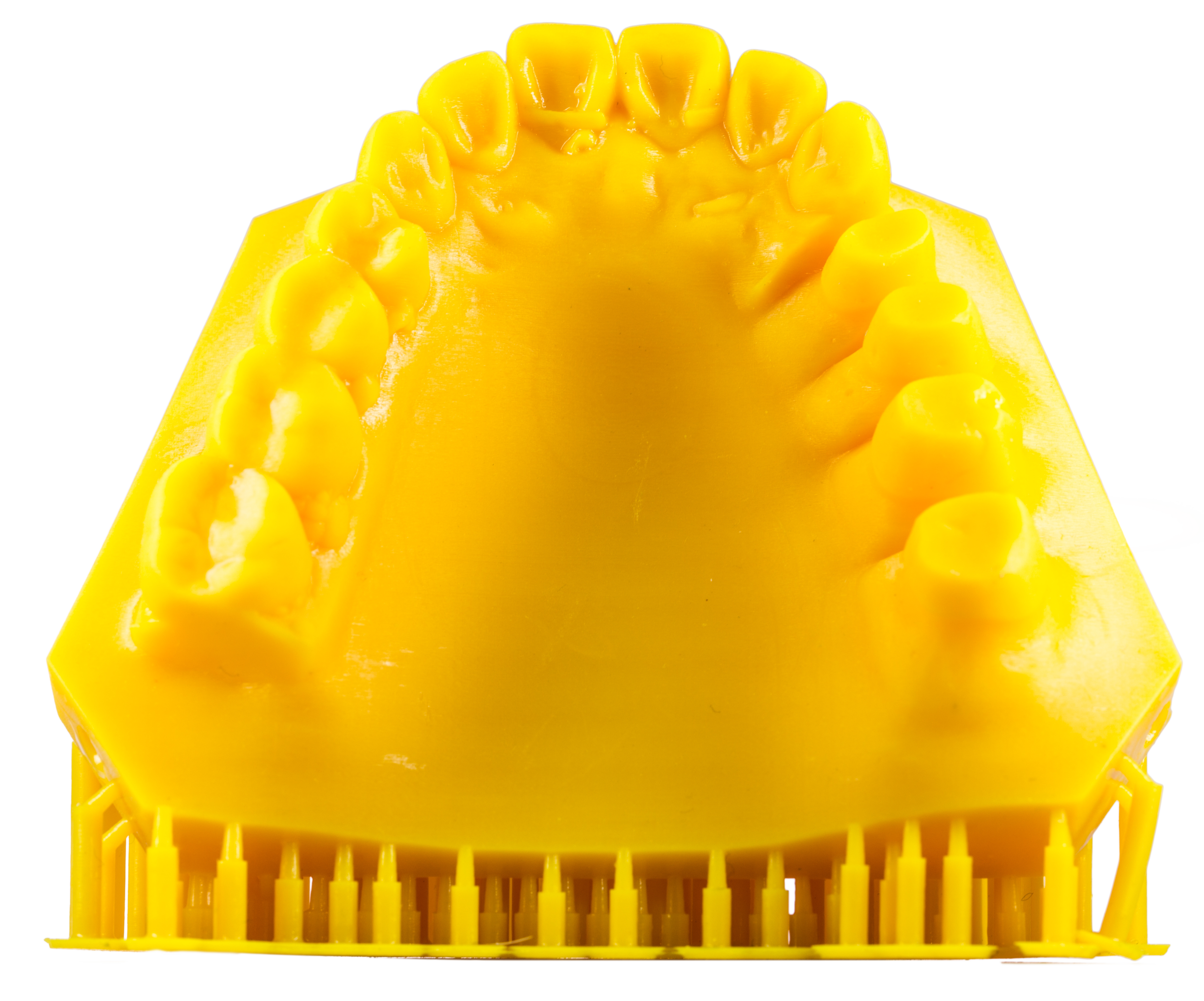 Phrozen Printed-9086.png