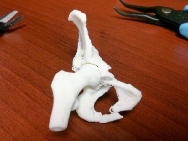 3D列印在醫學上的突破.png