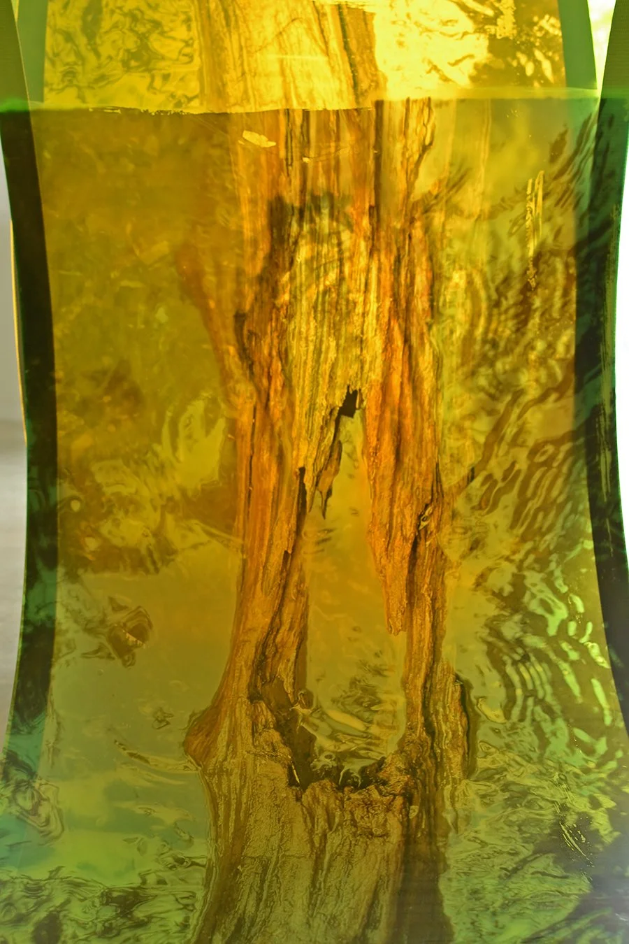Proximal 3 image detail2 .jpg