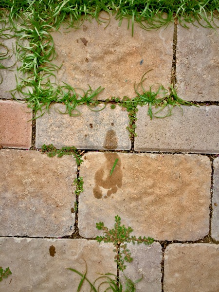 FADING FOOTPRINT: LOS ANGELES