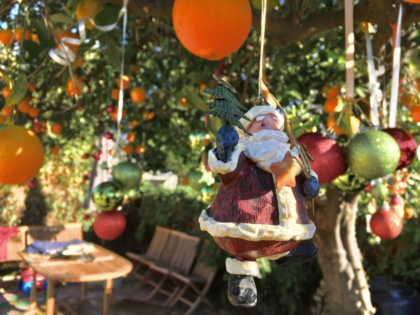 ORANGE TREE SANTA: LOS ANGELES