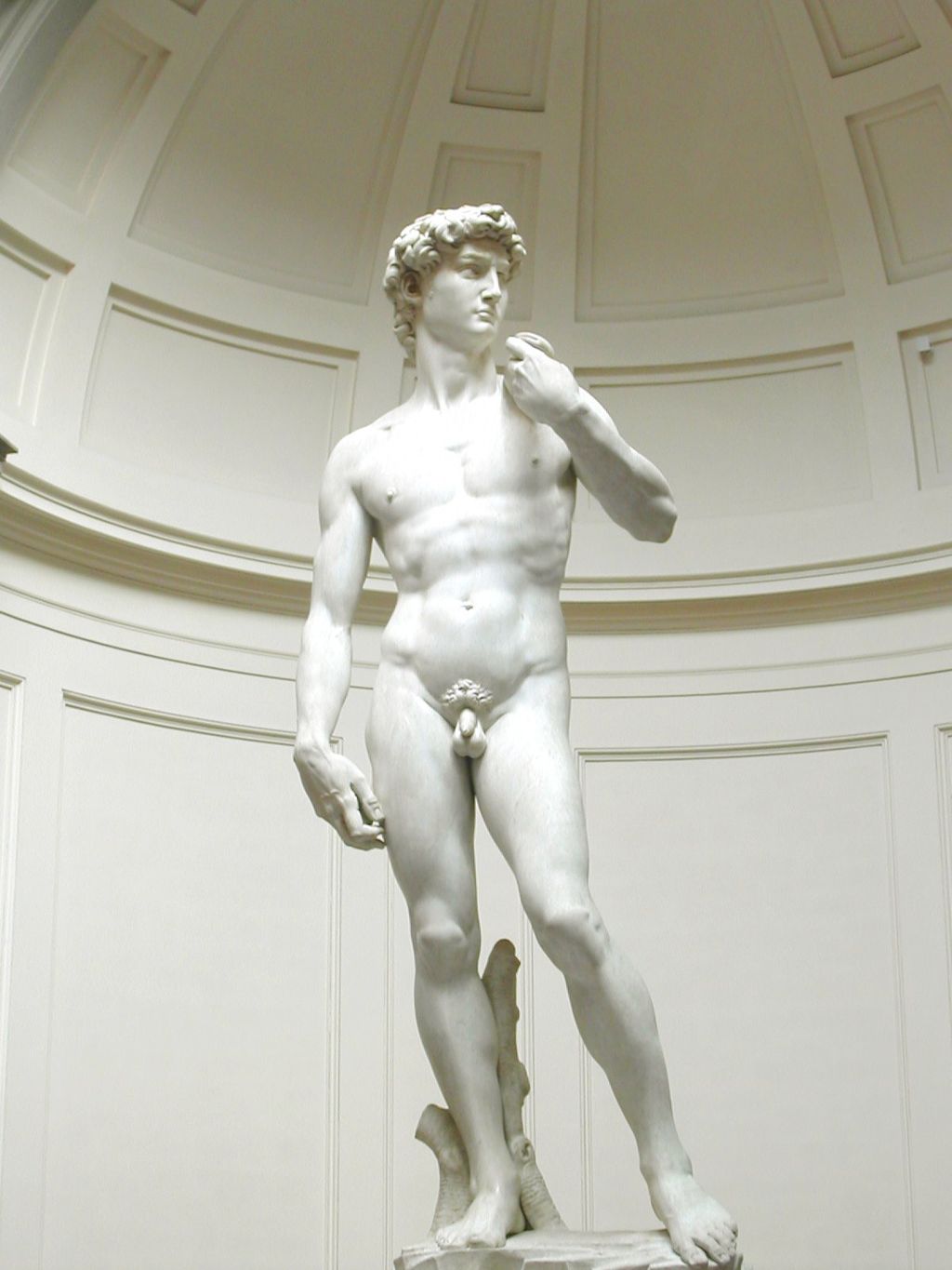 Michelangelo, David , 1501-1504, Galleria dell'Accademia, Florence.