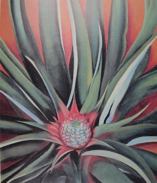 Georgia O'Keeffe, Pineapple Bud , 1939, Honolulu Academy of Arts.