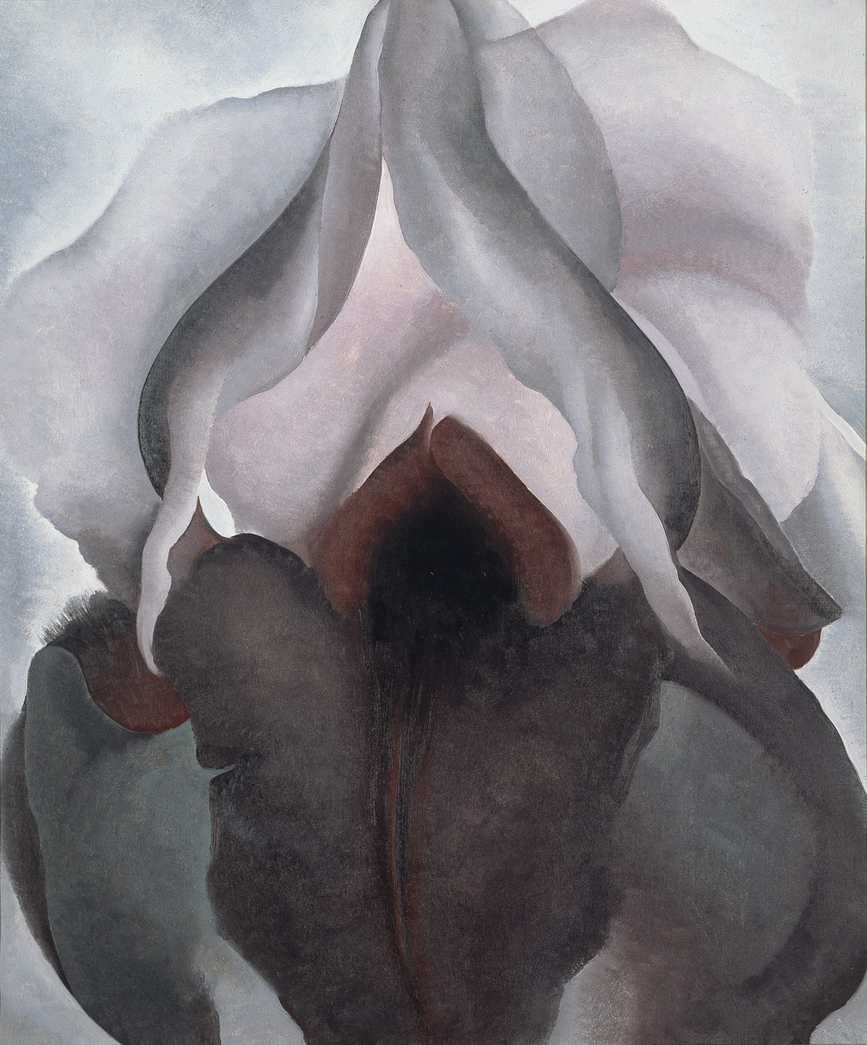 Georgia O'Keeffe , Black Iris , 1926, Metropolitan Museum, New York. 