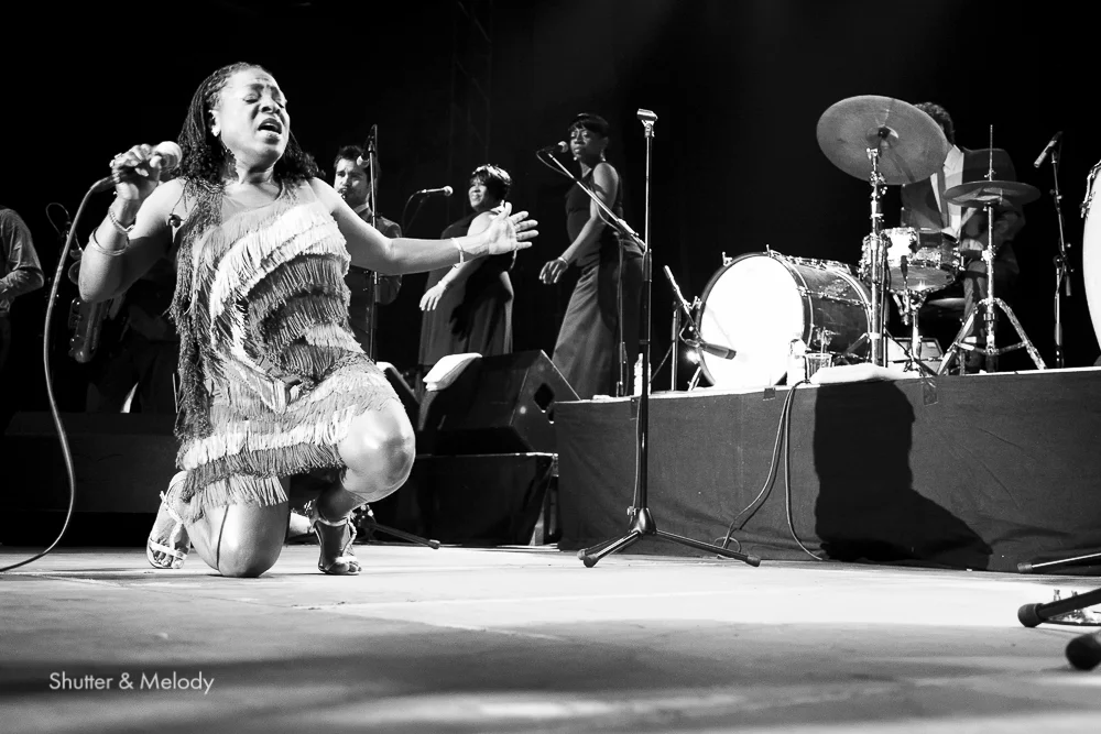 ConcertsSM-18.jpg
