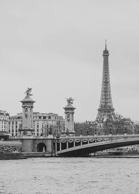 View of the Eiffel Tower and Pont Alexandre from the Seine.