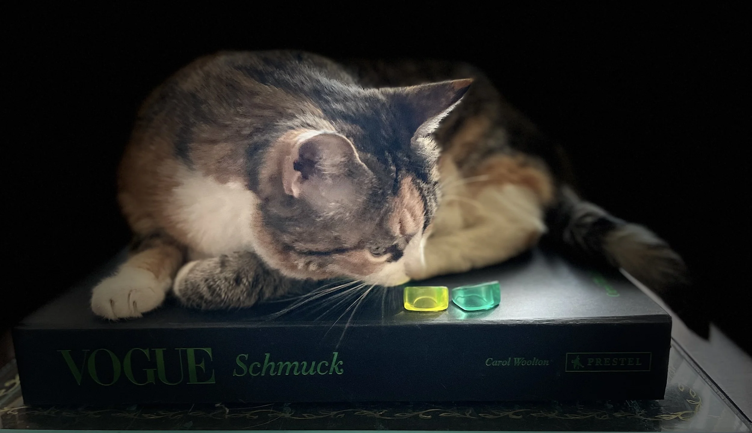 neue Postkarte.jpg