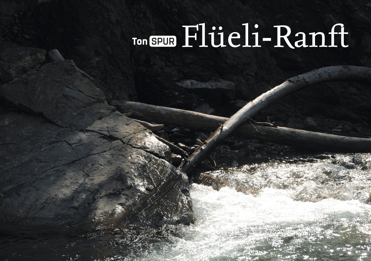 © foto anne bürgisser