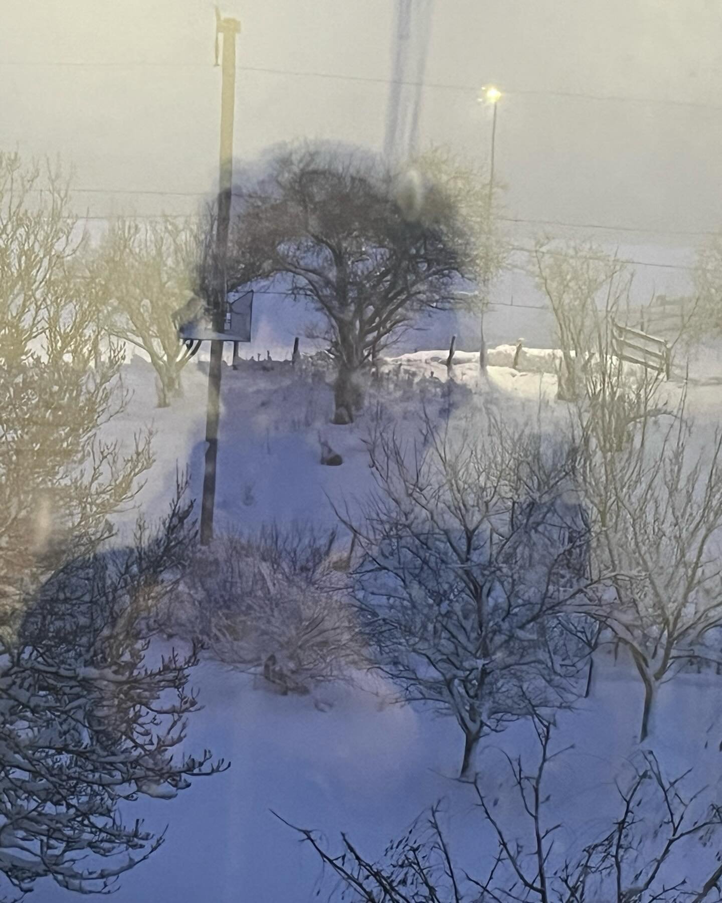 #nachdemeindunkeln #annetteschmucki #landschaftundbedingung