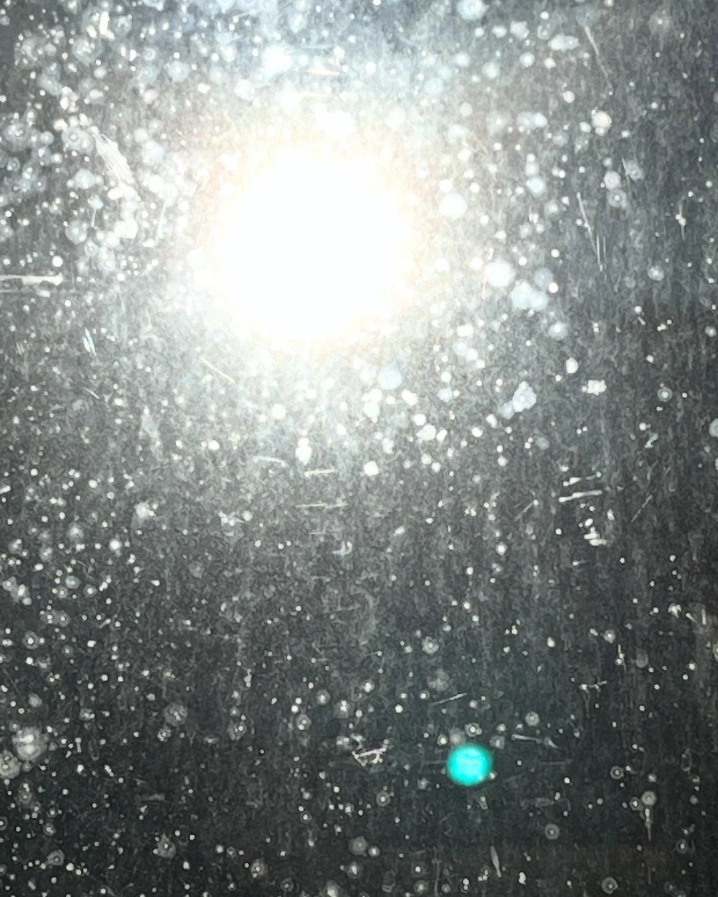 #weissweisslich #sonnesonne #sch&ouml;nepartitur #blauerseelenfleckdeswimperntierchens #annetteschmucki