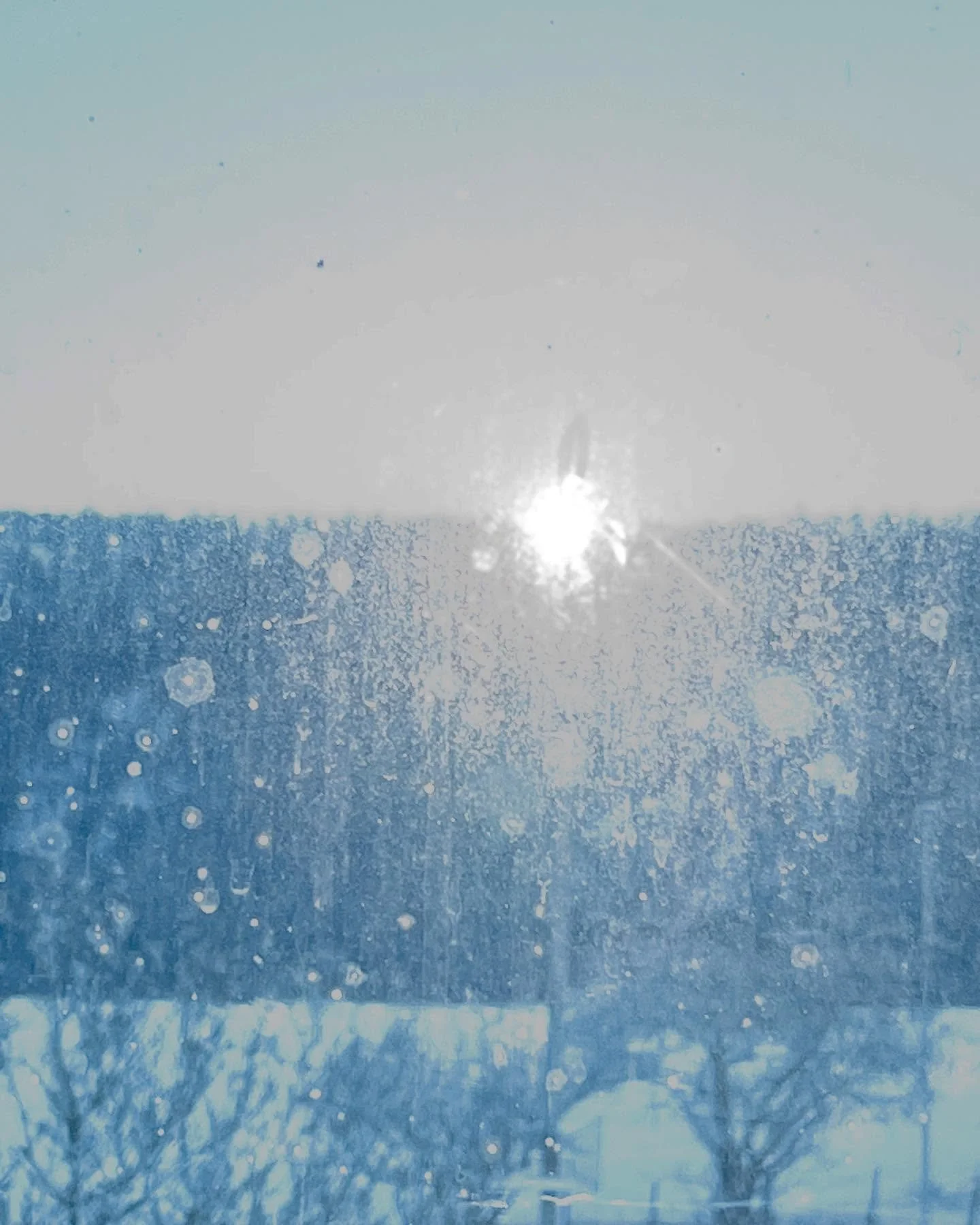 #weissweisslich #sonnesonne #schnee #amfenster #annetteschmucki