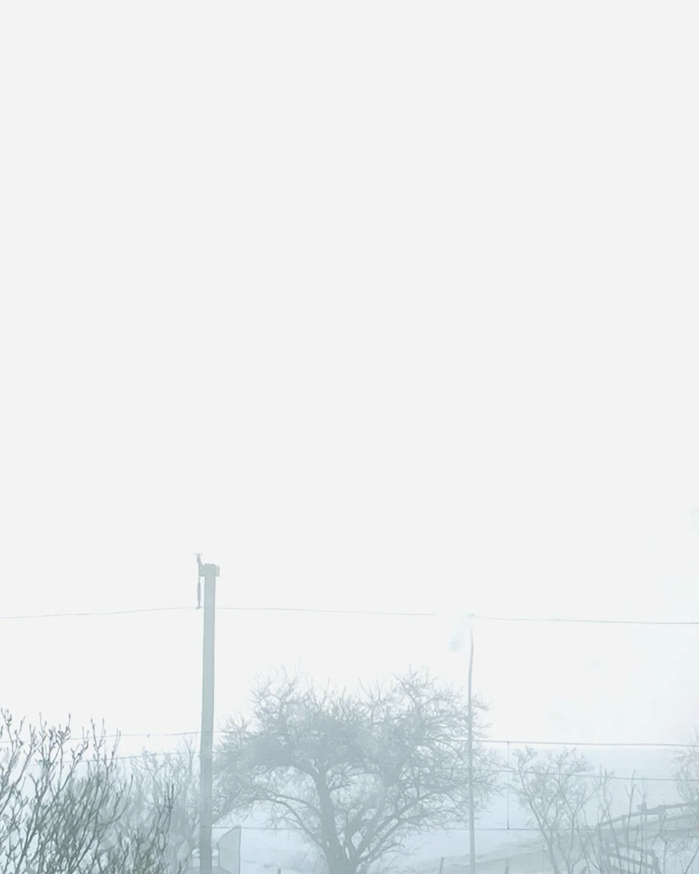 #weissweisslich #annetteschmucki #landschaftundbedingung