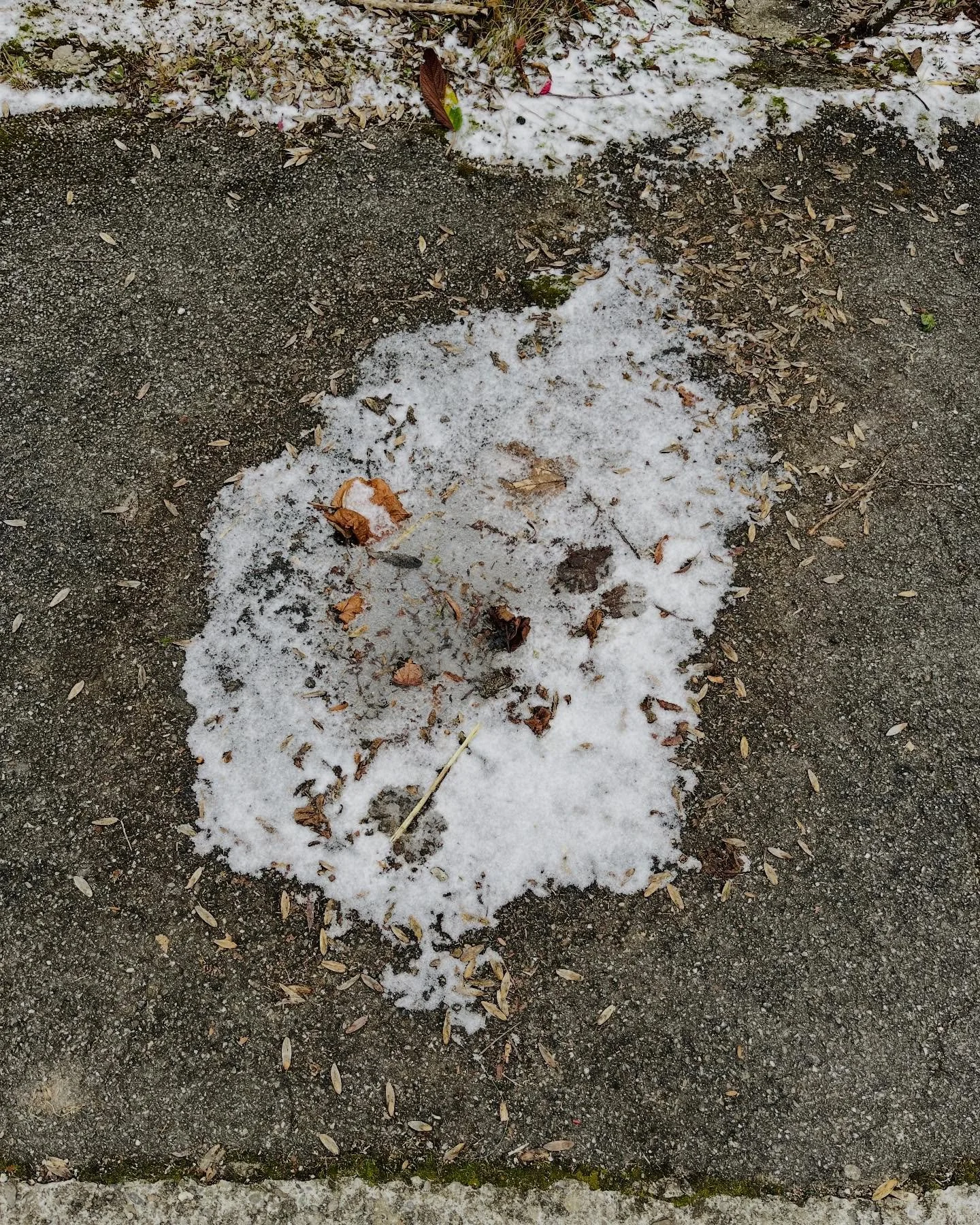 #loch #pf&uuml;tze #insel #sch&ouml;nepartitur  #annetteschmucki