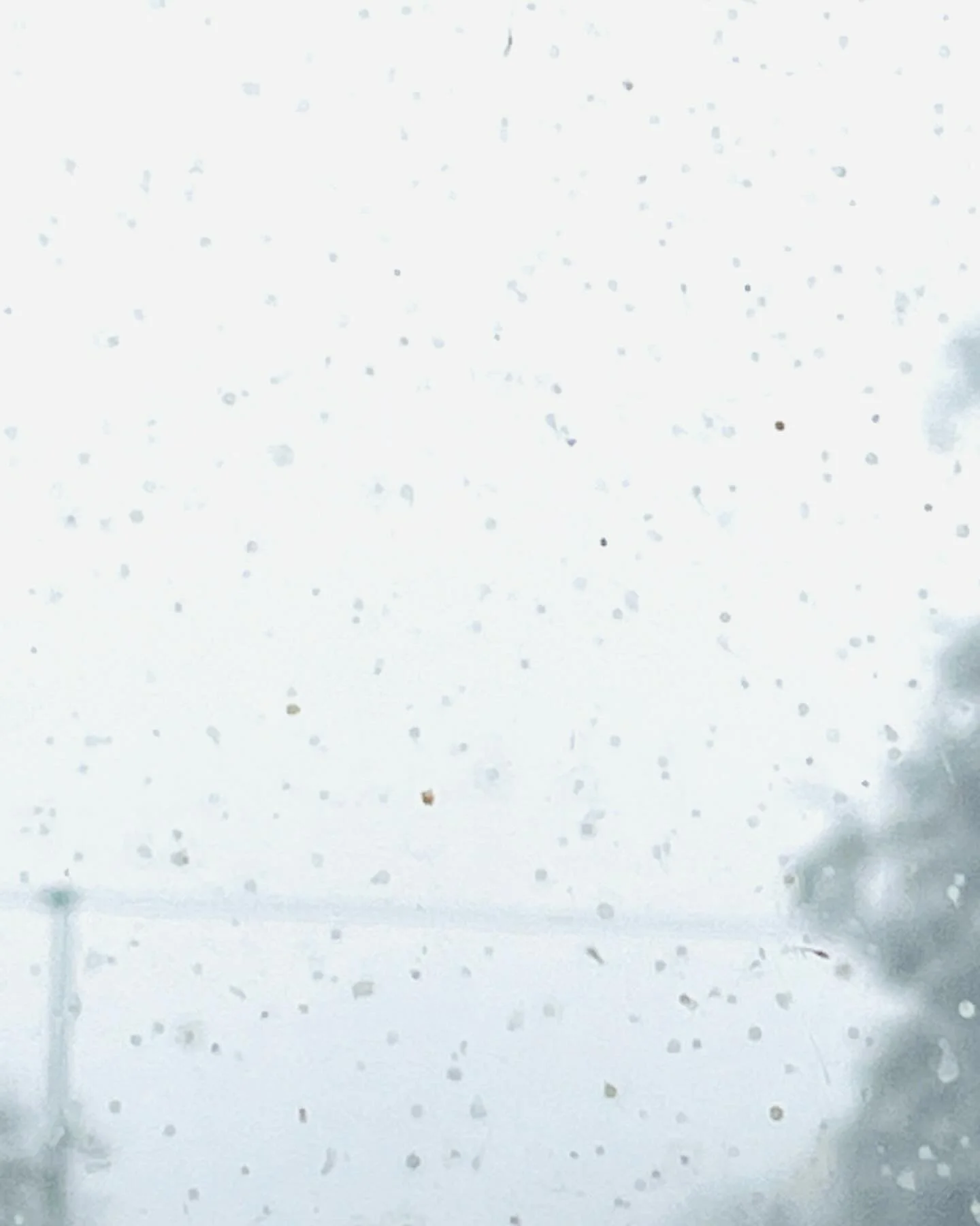 #weissweisslich #amfenster #annetteschmucki